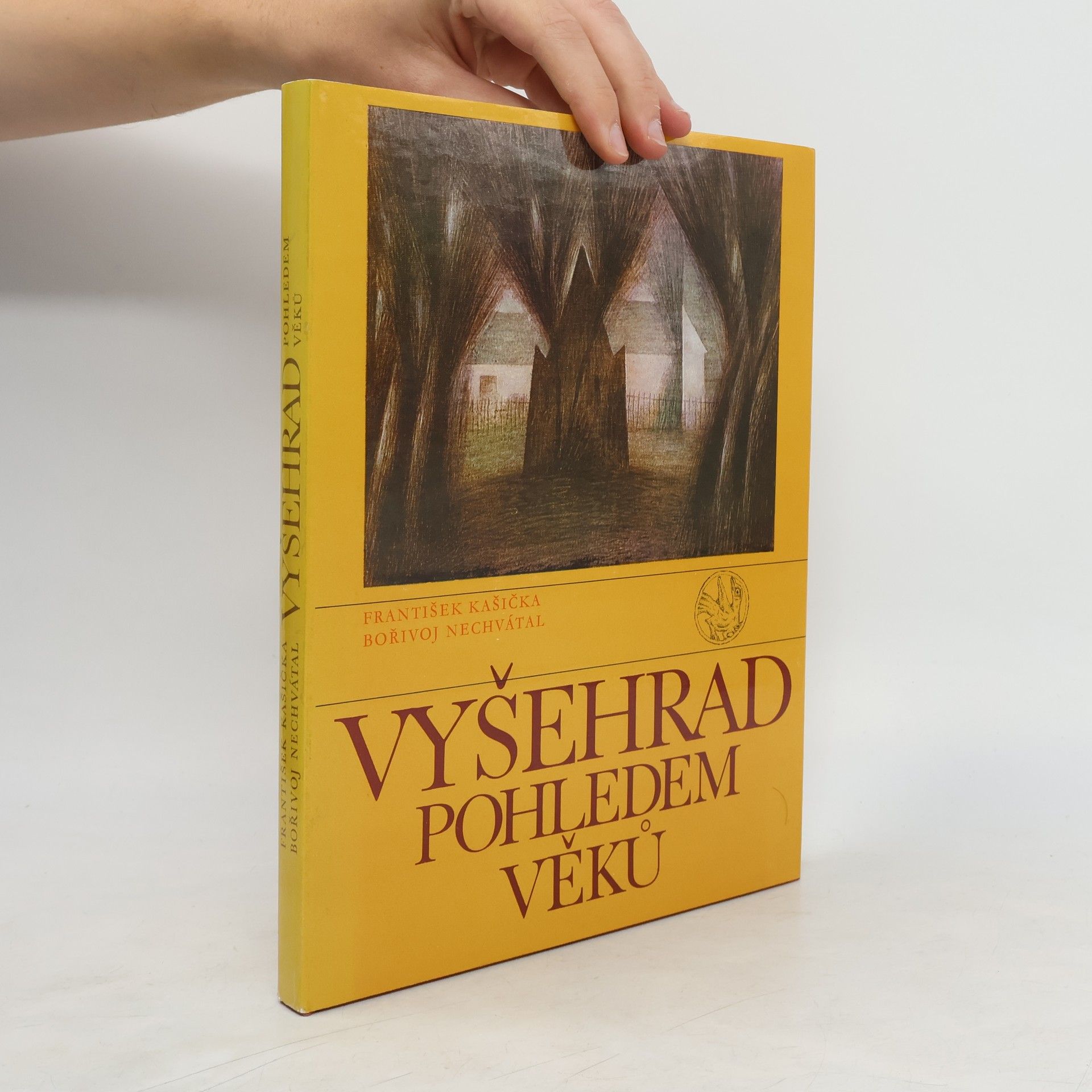 Bořivoj Nechvátal Vyšehrad pohledem věků