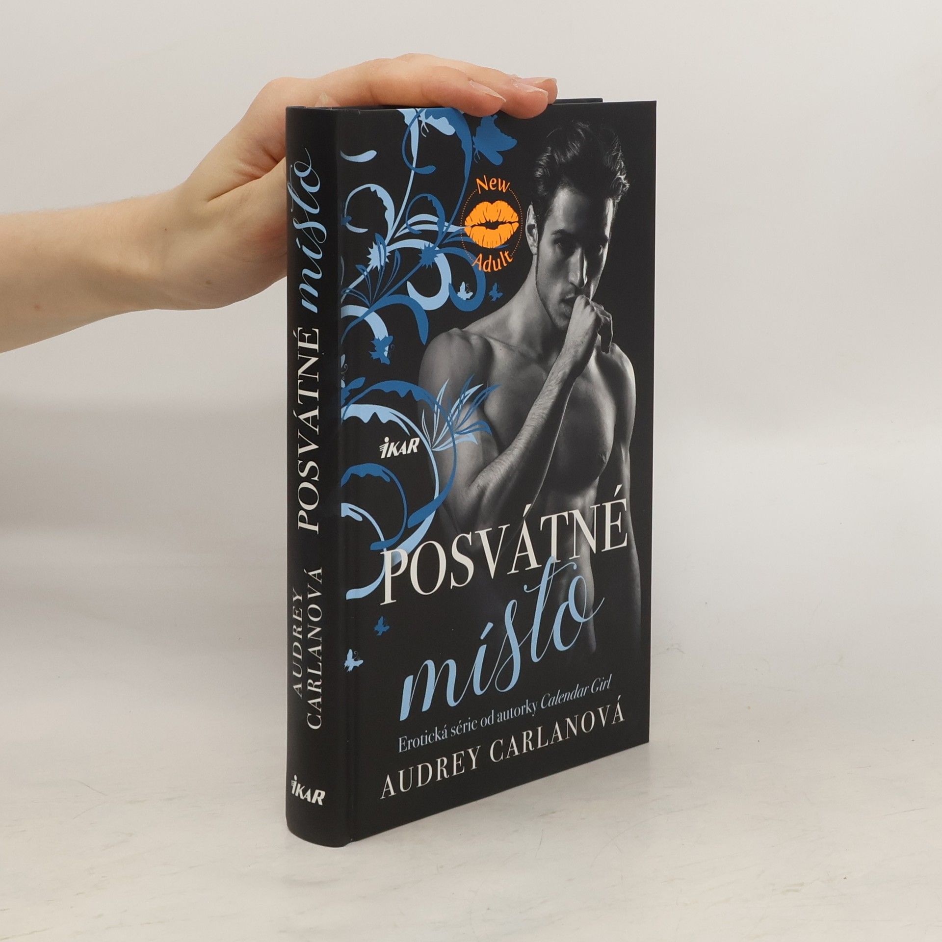 Audrey Carlan Posvátné místo