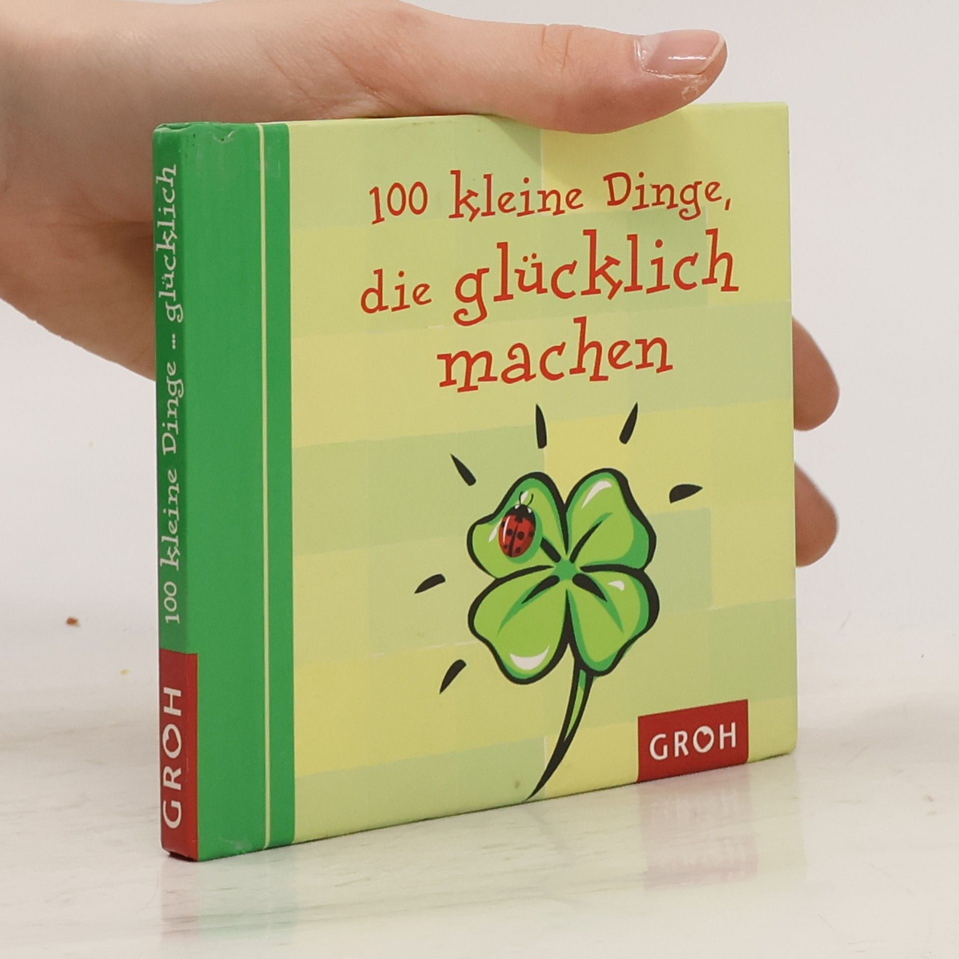 Tine Sander 100 kleine Dinge, die glücklich machen
