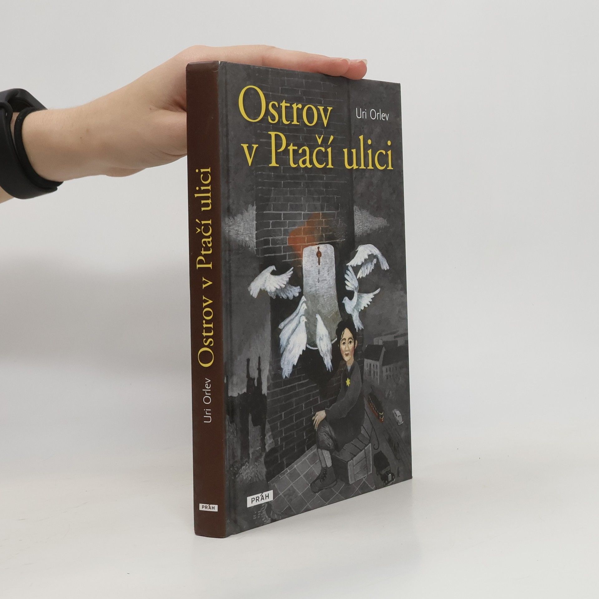 Uri Orlev Ostrov v Ptačí ulici