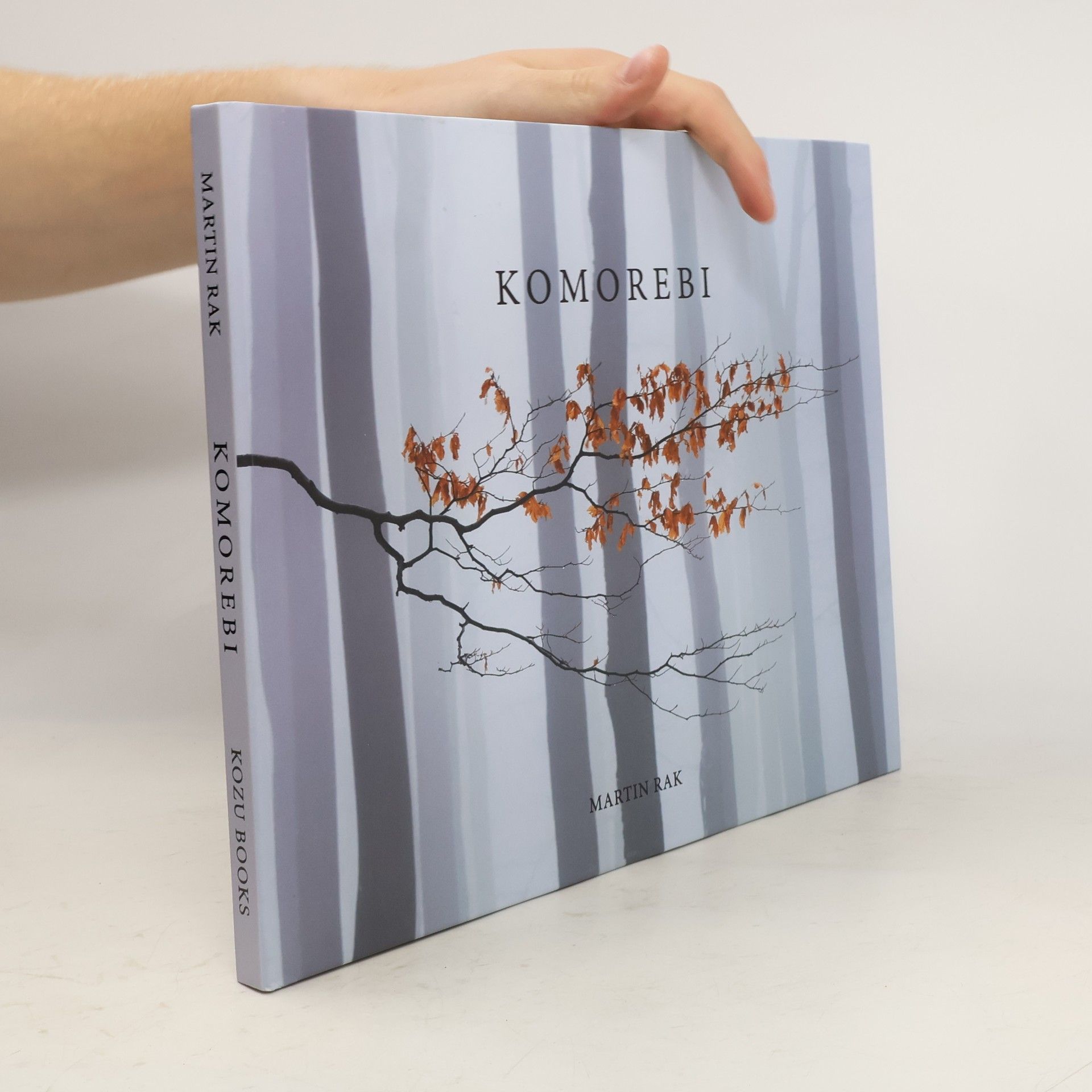 Martin Rak Komorebi