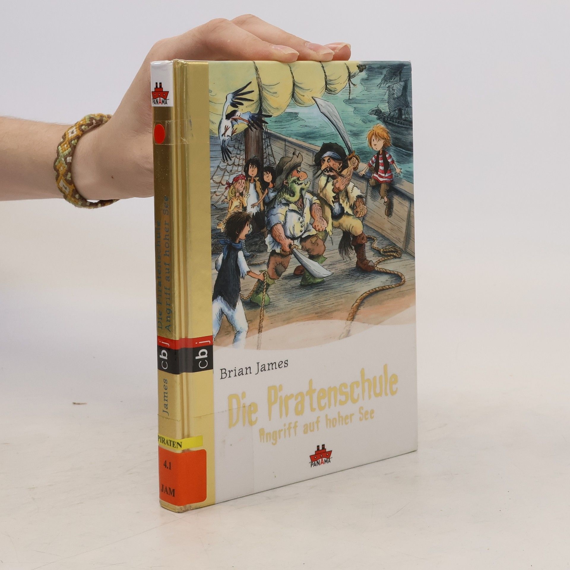 Brian James Die Piratenschule - Angriff auf hoher See