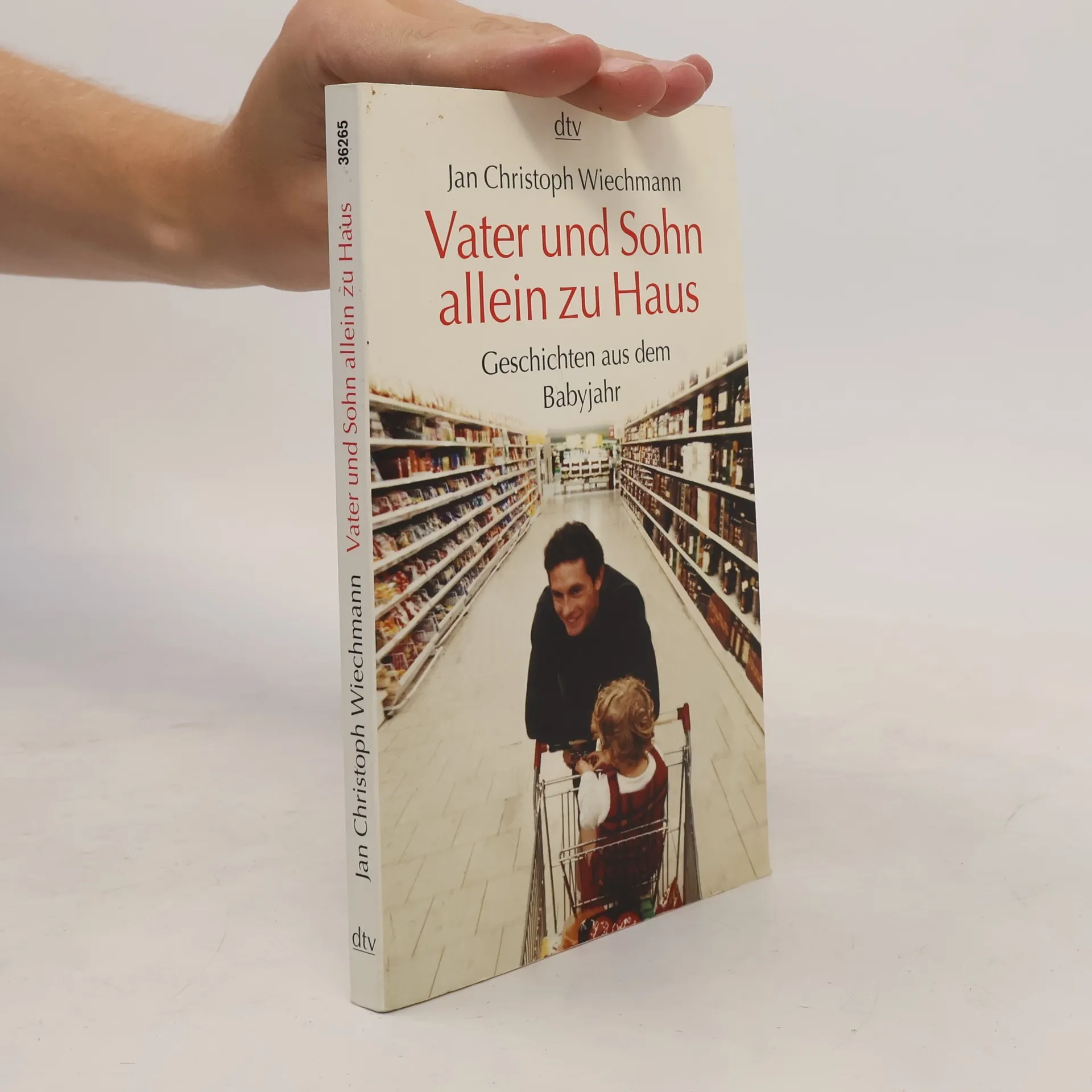 Vater und Sohn allein zu Haus | Jan Christoph Wiechmann | German | Book