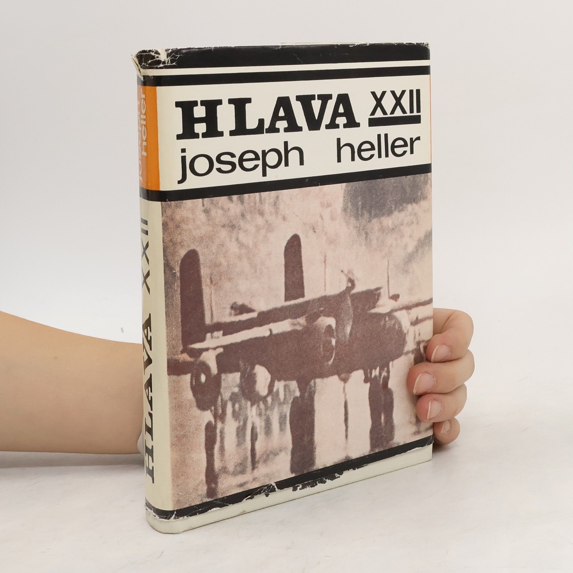 Hlava XXII
