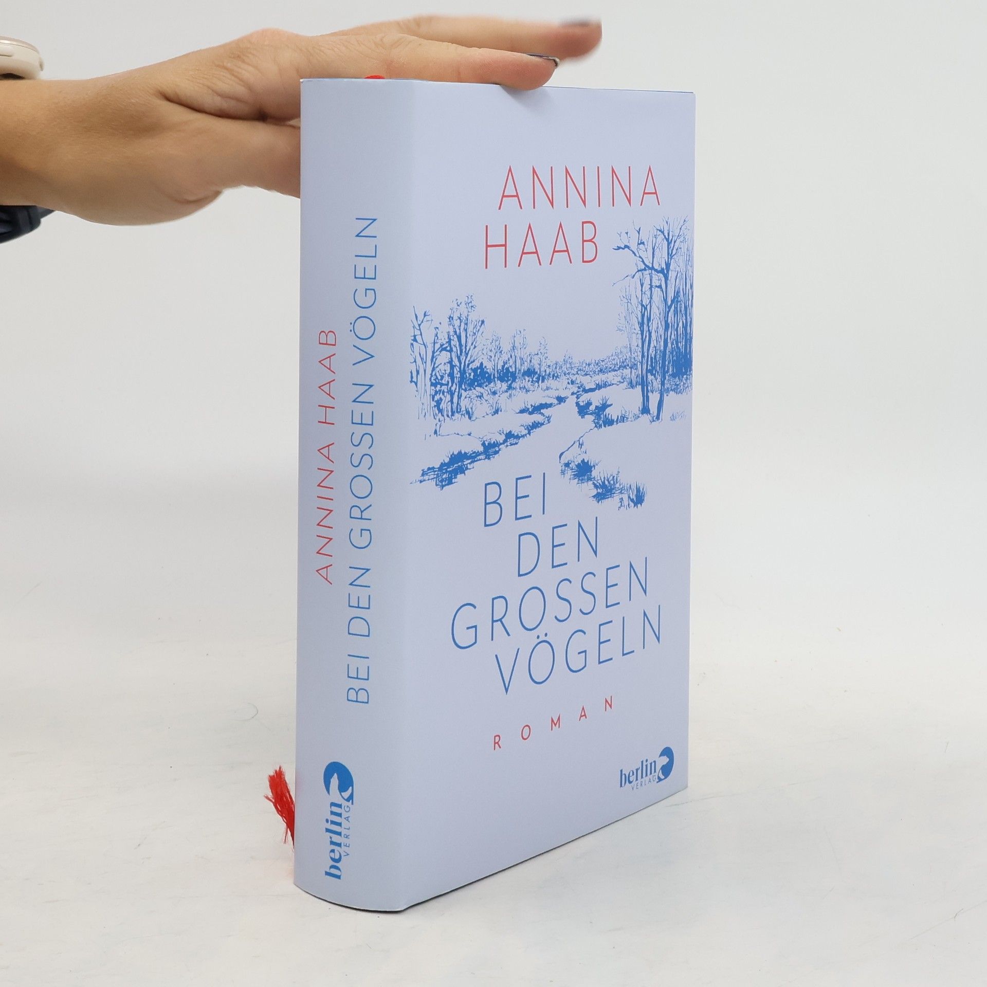 Annina Haab Bei den großen Vögeln