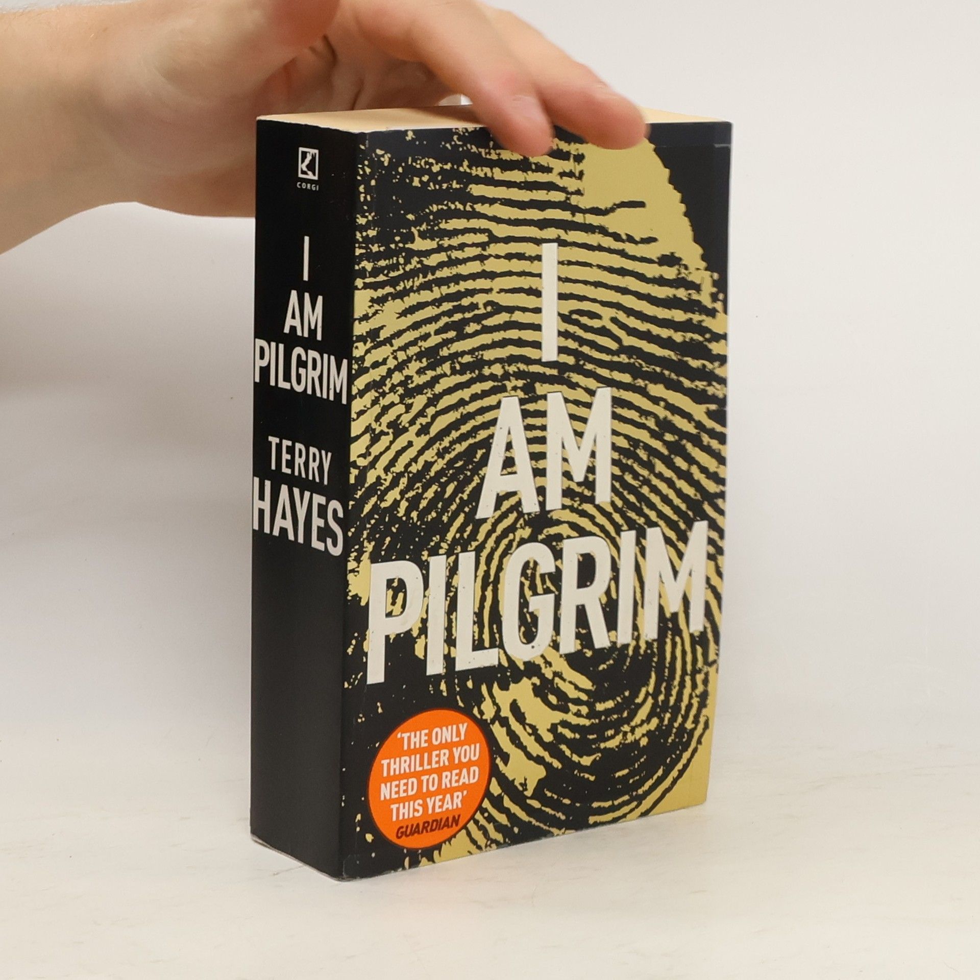 Terry Hayes I am Pilgrim