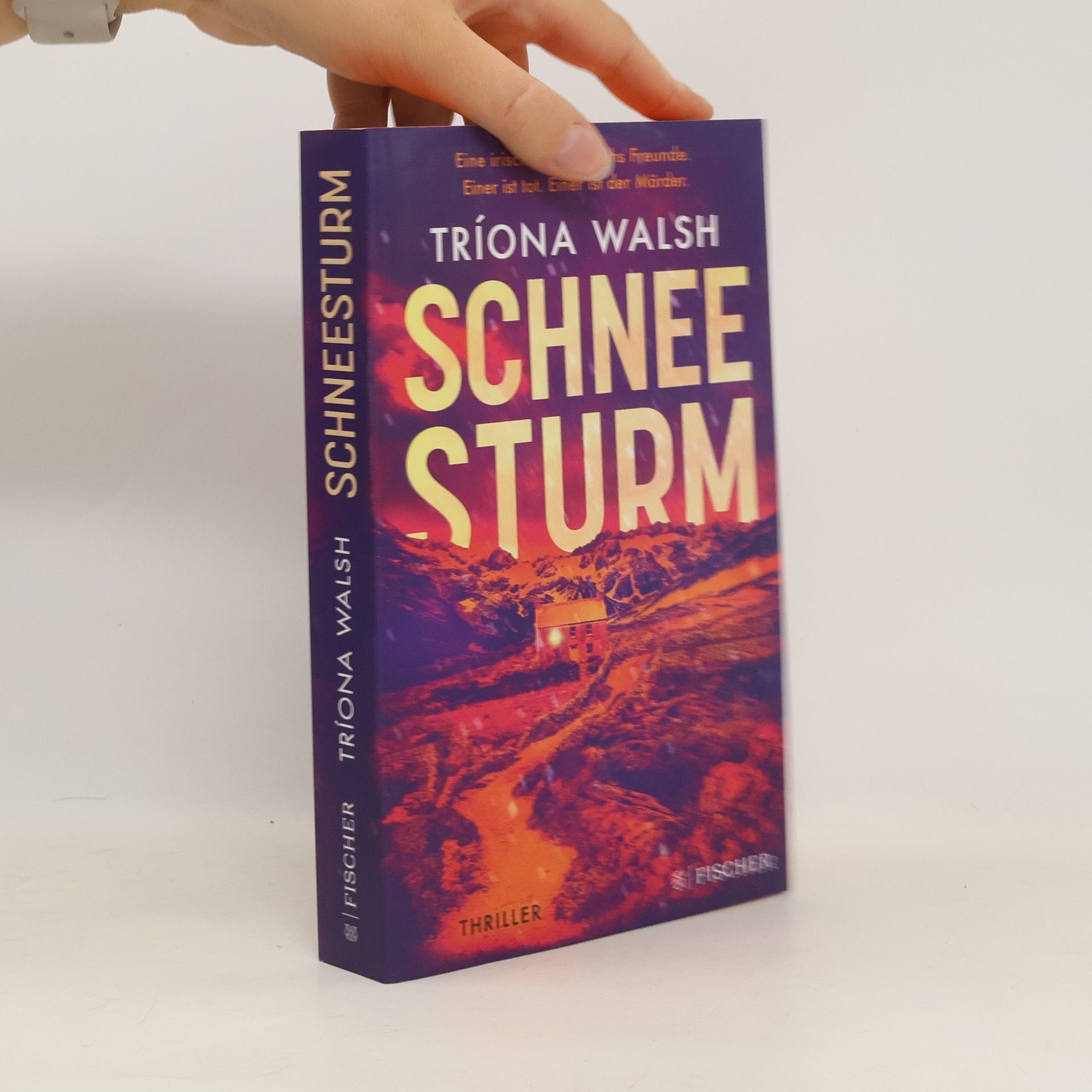 Tríona Walsh Schneesturm