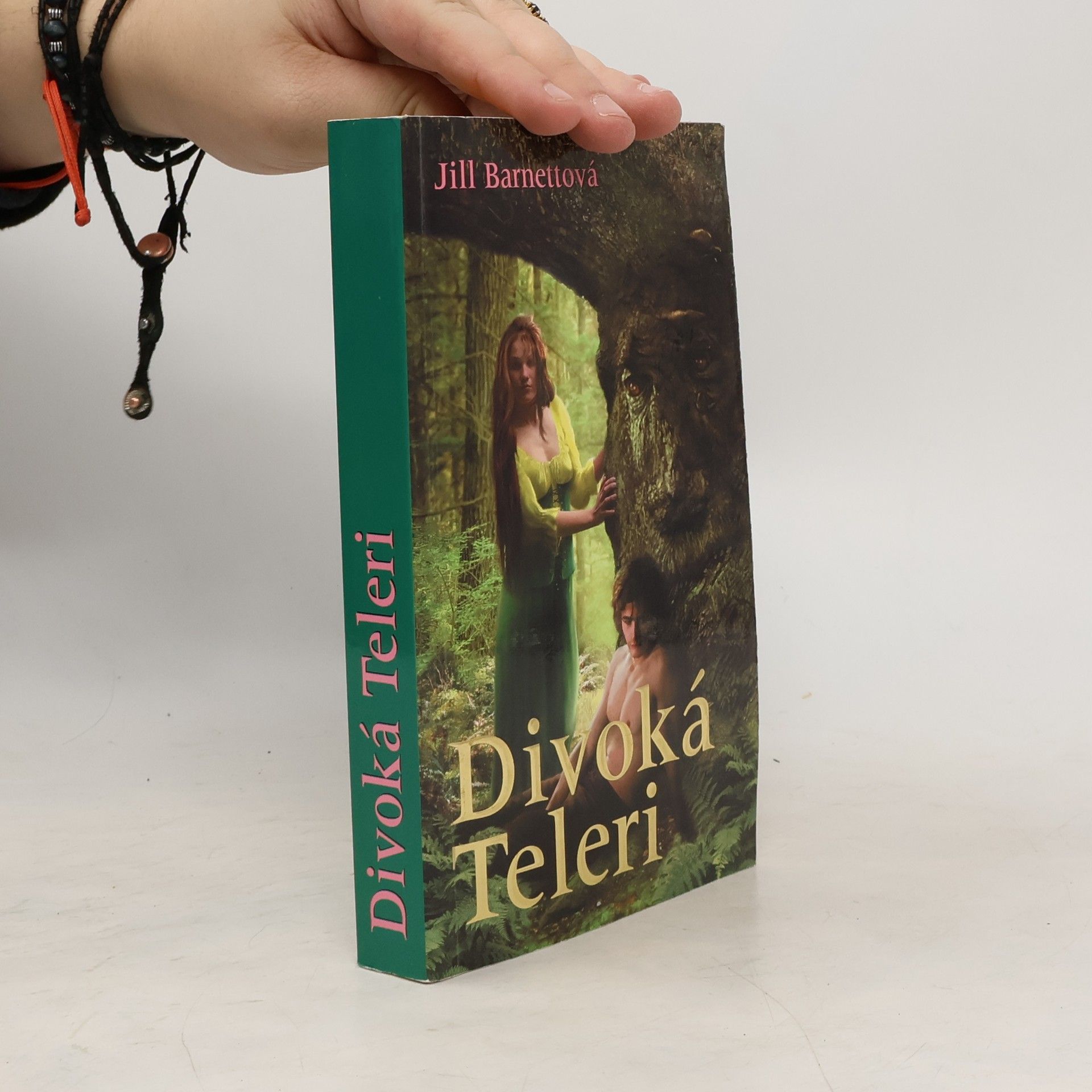 Jill Barnett Divoká Teleri