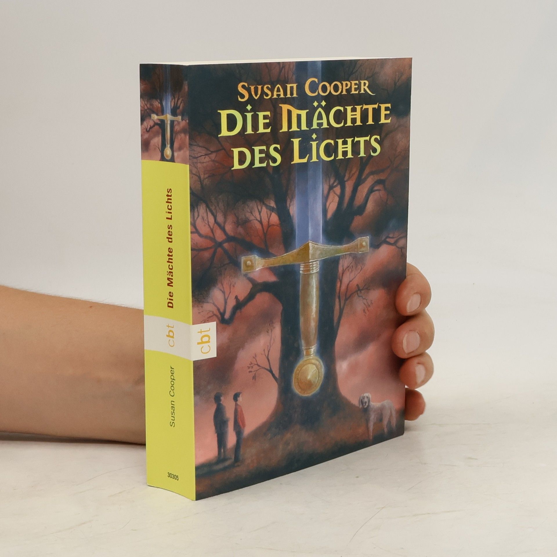 Susan Cooper Die Mächte des Lichts