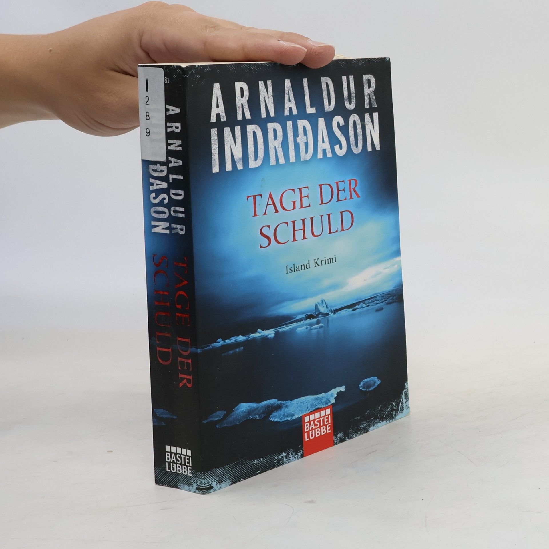 Arnaldur Indridason Tage der Schuld