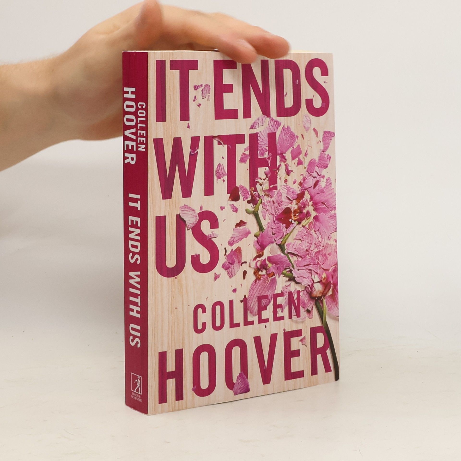 Colleen Hoover It Ends With Us
