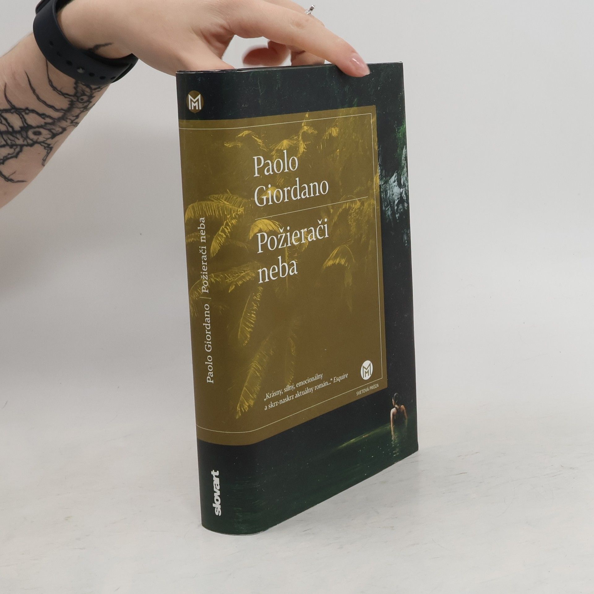 Paolo Giordano Požierači neba