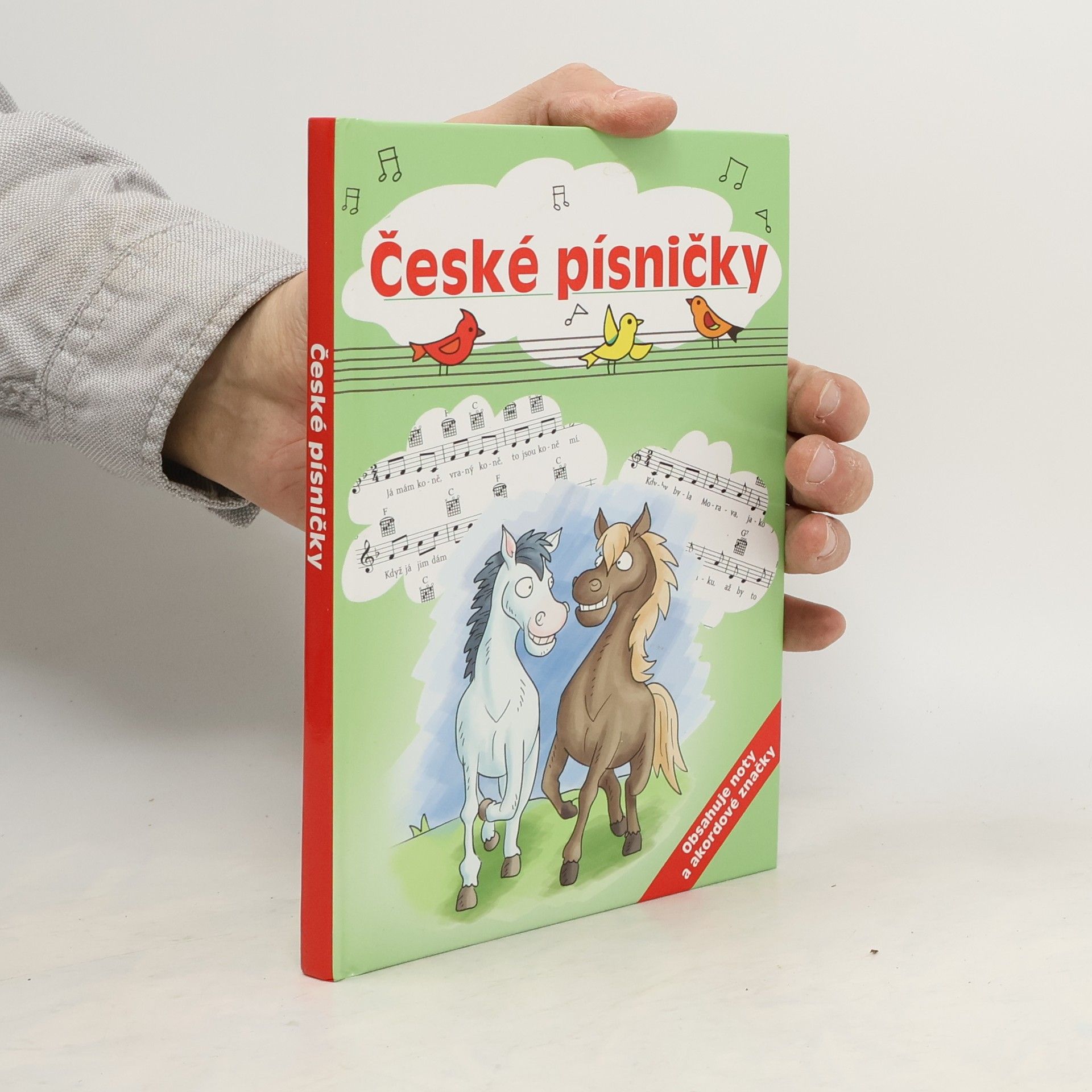 Dita Křišťanová České písničky