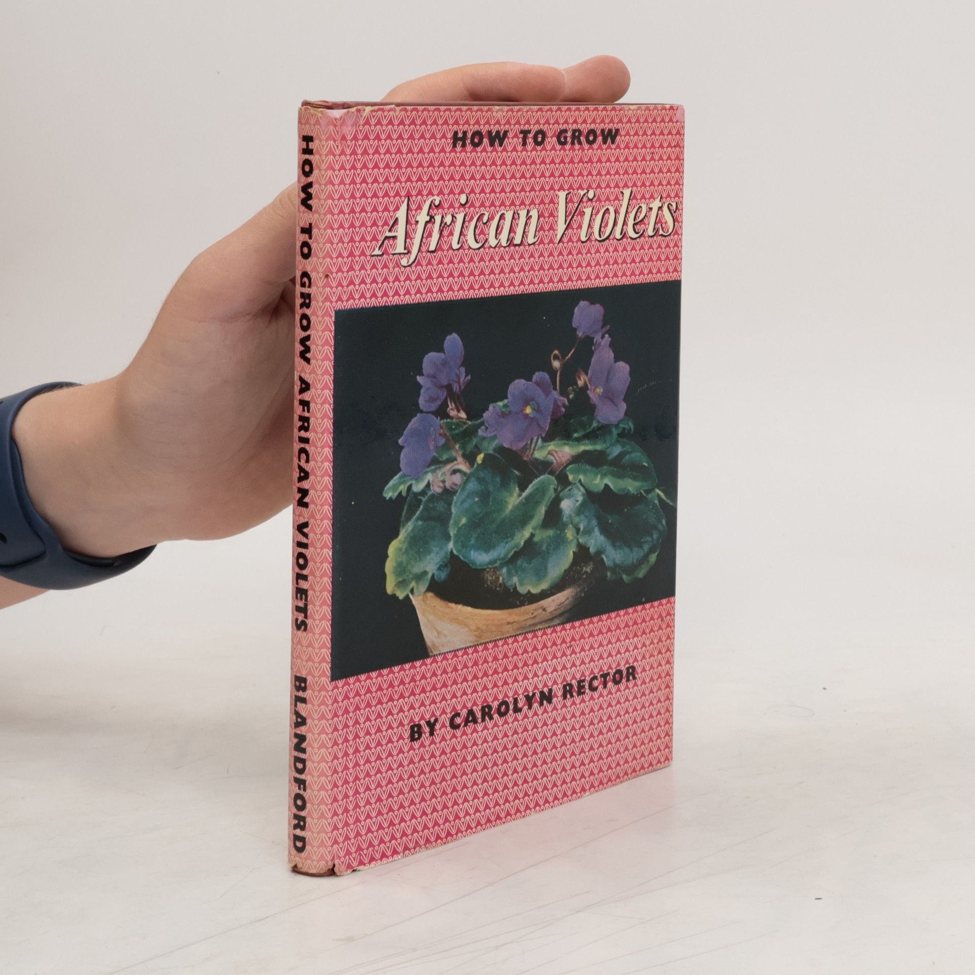 Carolyn Rector How to Grow African Violets