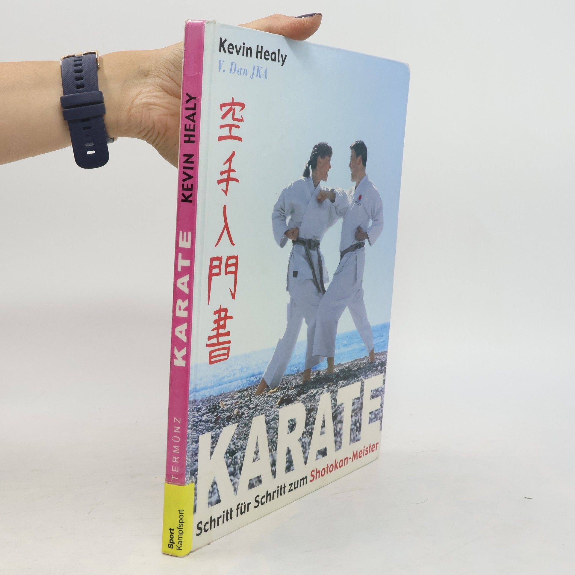 Kevin Healy Karate