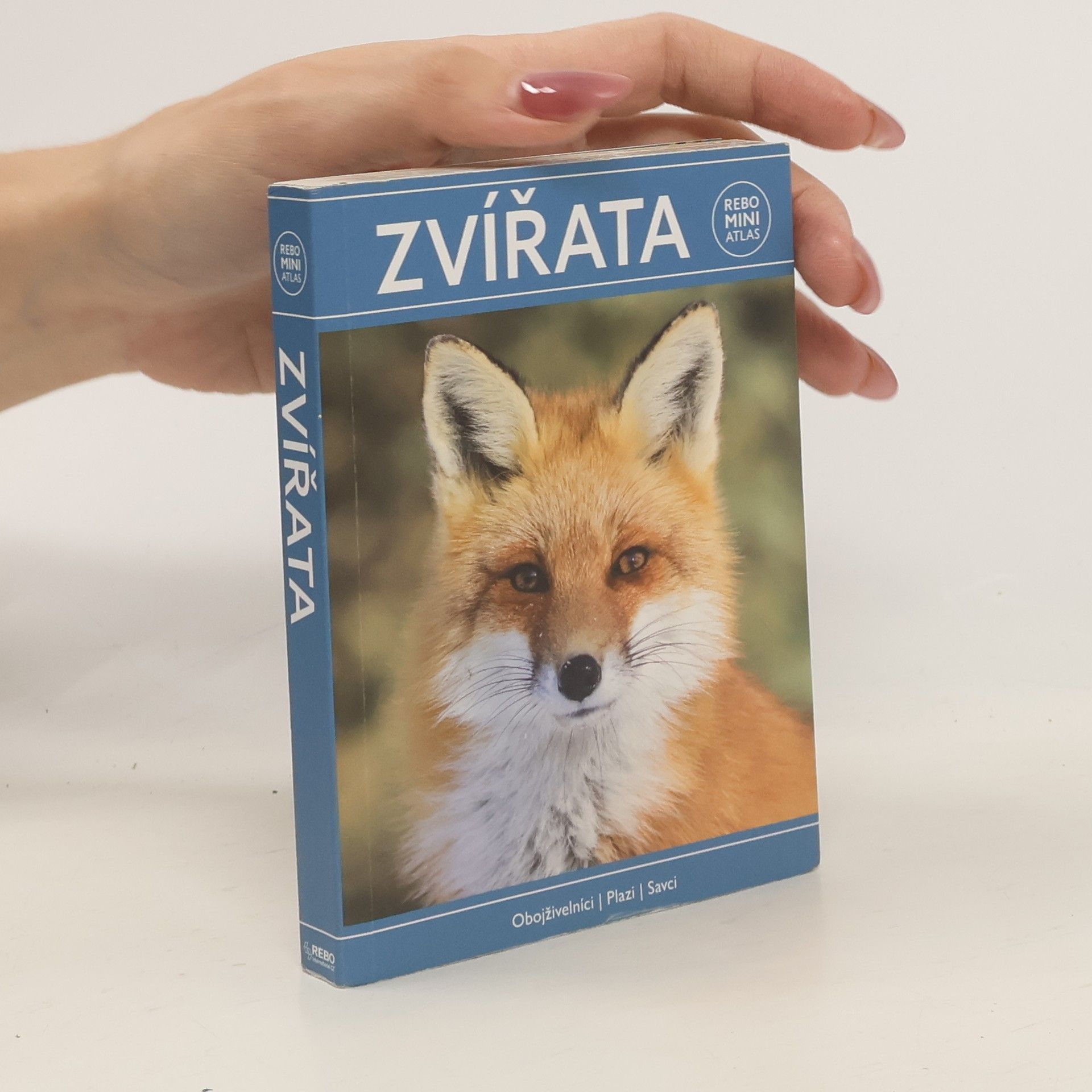 Marianne Taylor Zvířata