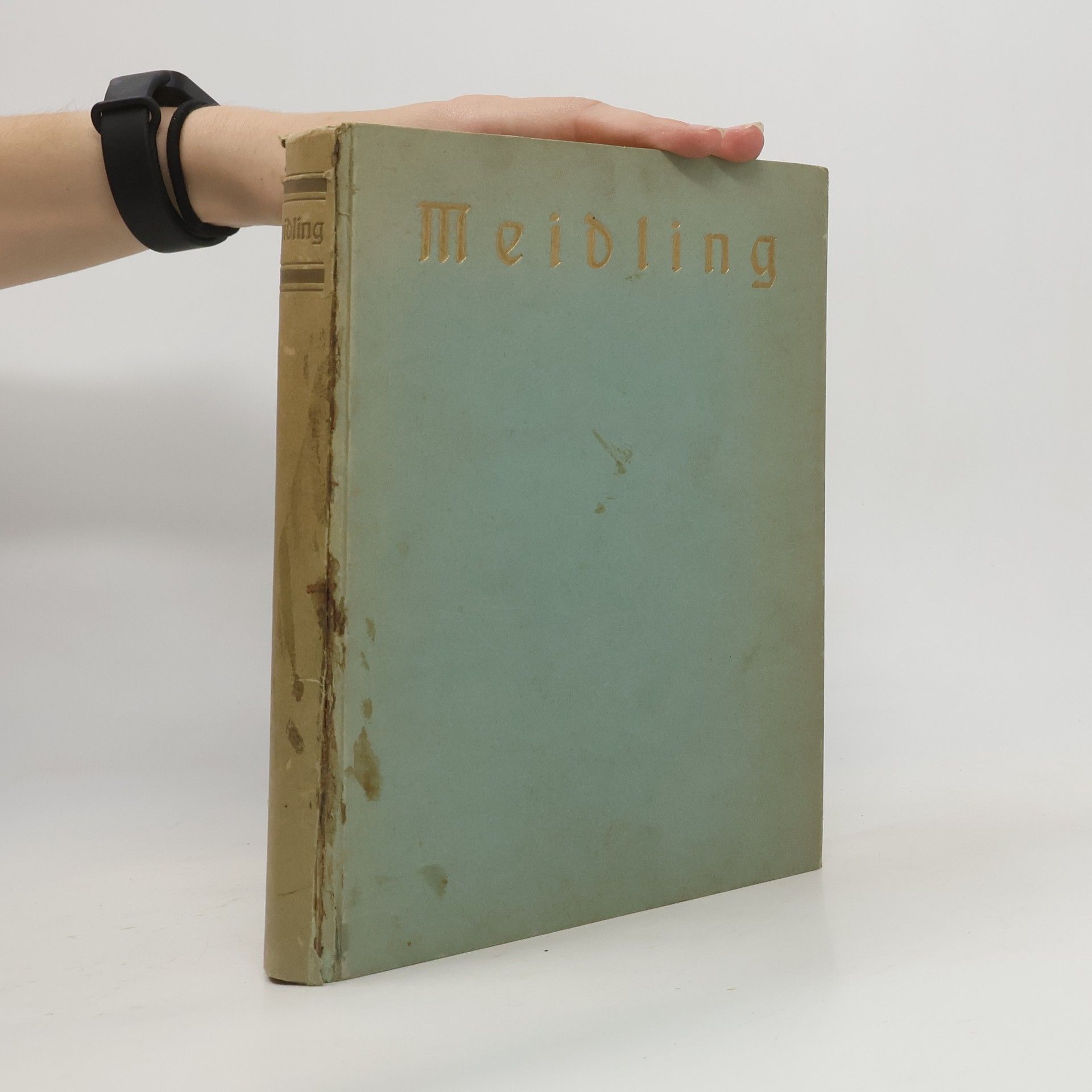 Autorenkollektiv Meidling : der 12. Wiener Gemeindebezirk in Vergangenheit und Gegenwart.