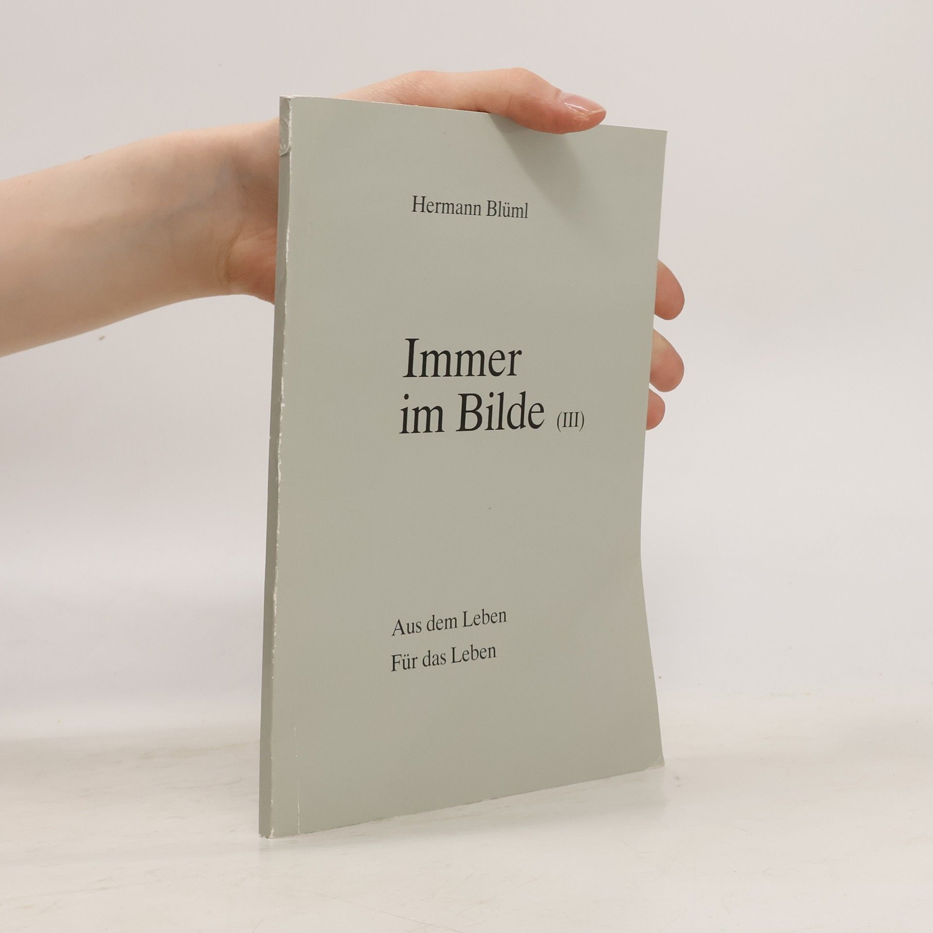 Hermann Blüml Immer im Bilde III