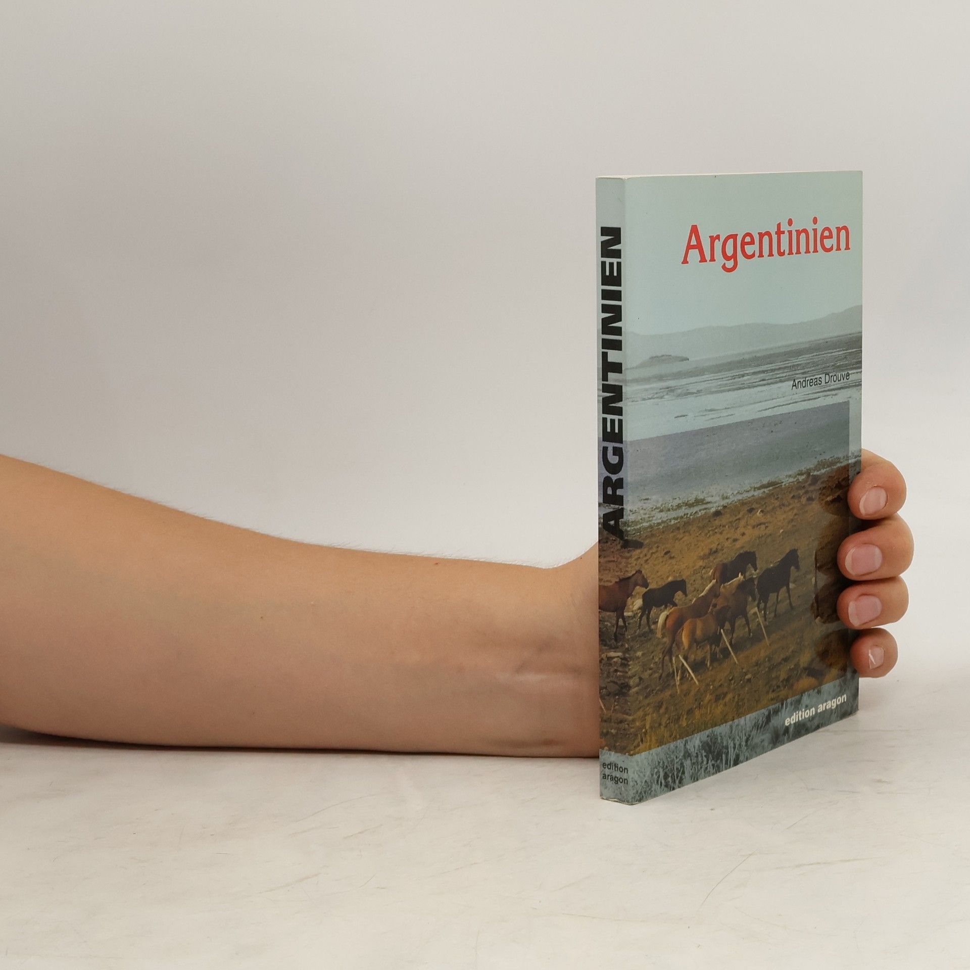 Andreas Drouve Argentinien
