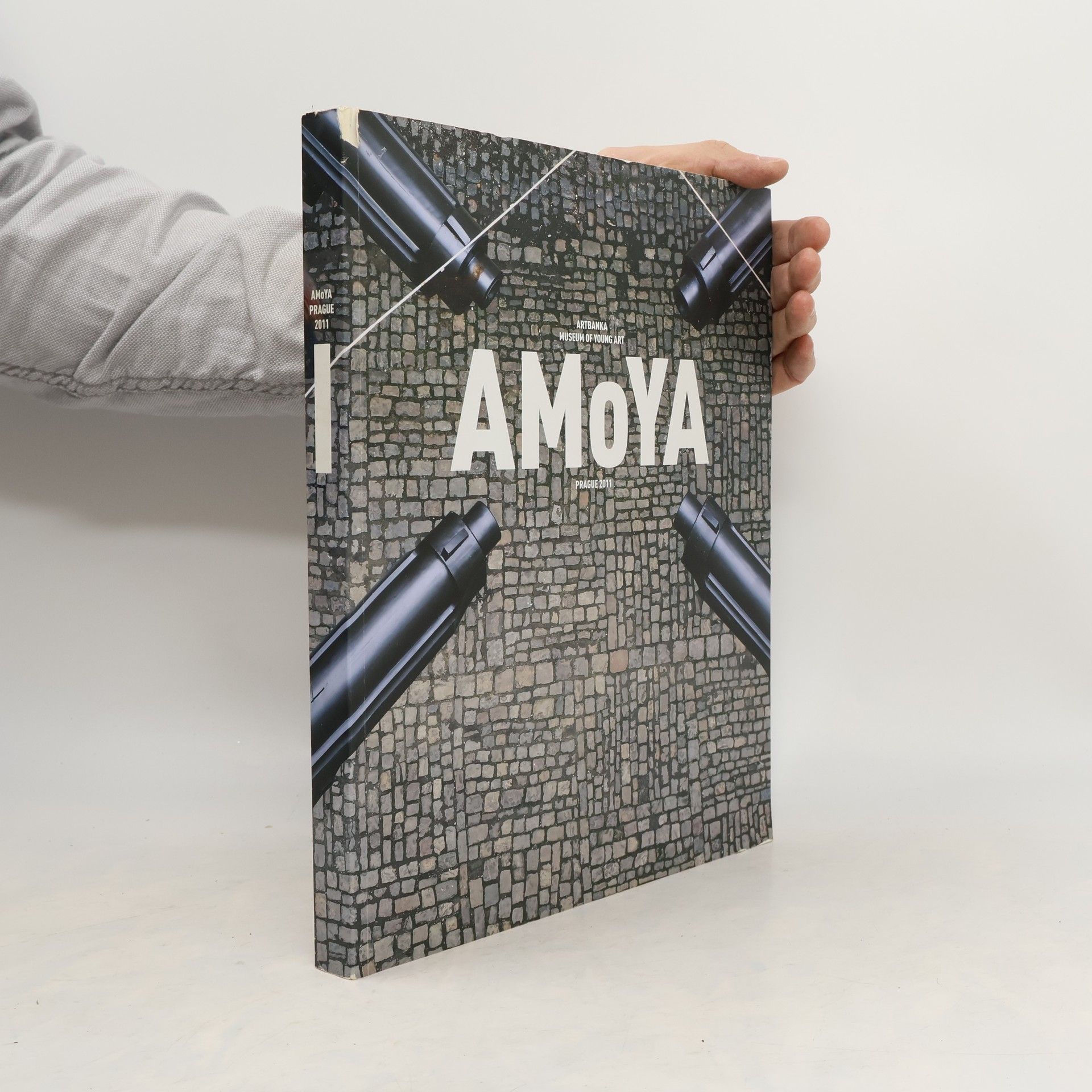 AMoYA : Artbanka Museum of Young Art Prague 2011