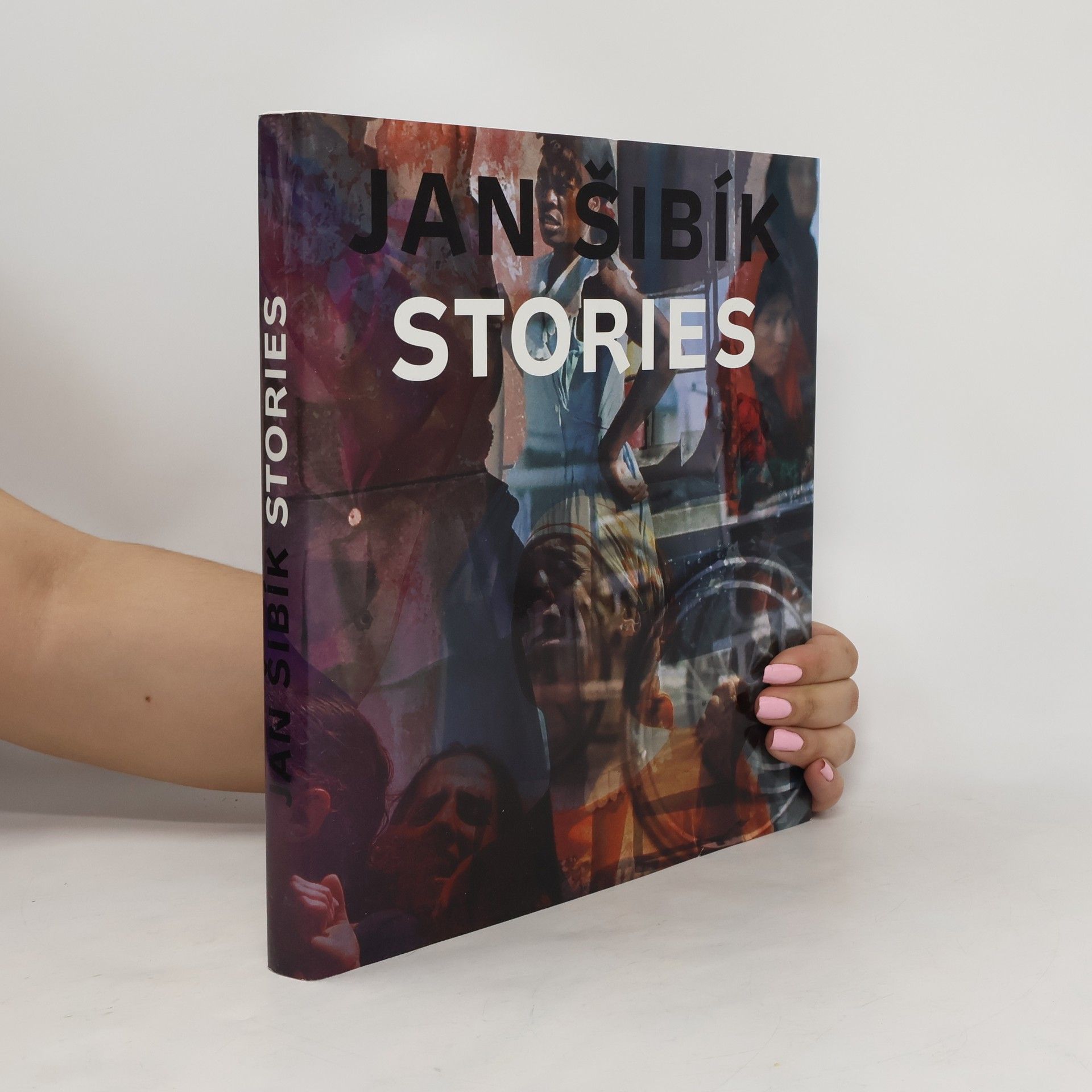 Jan Šibík Stories