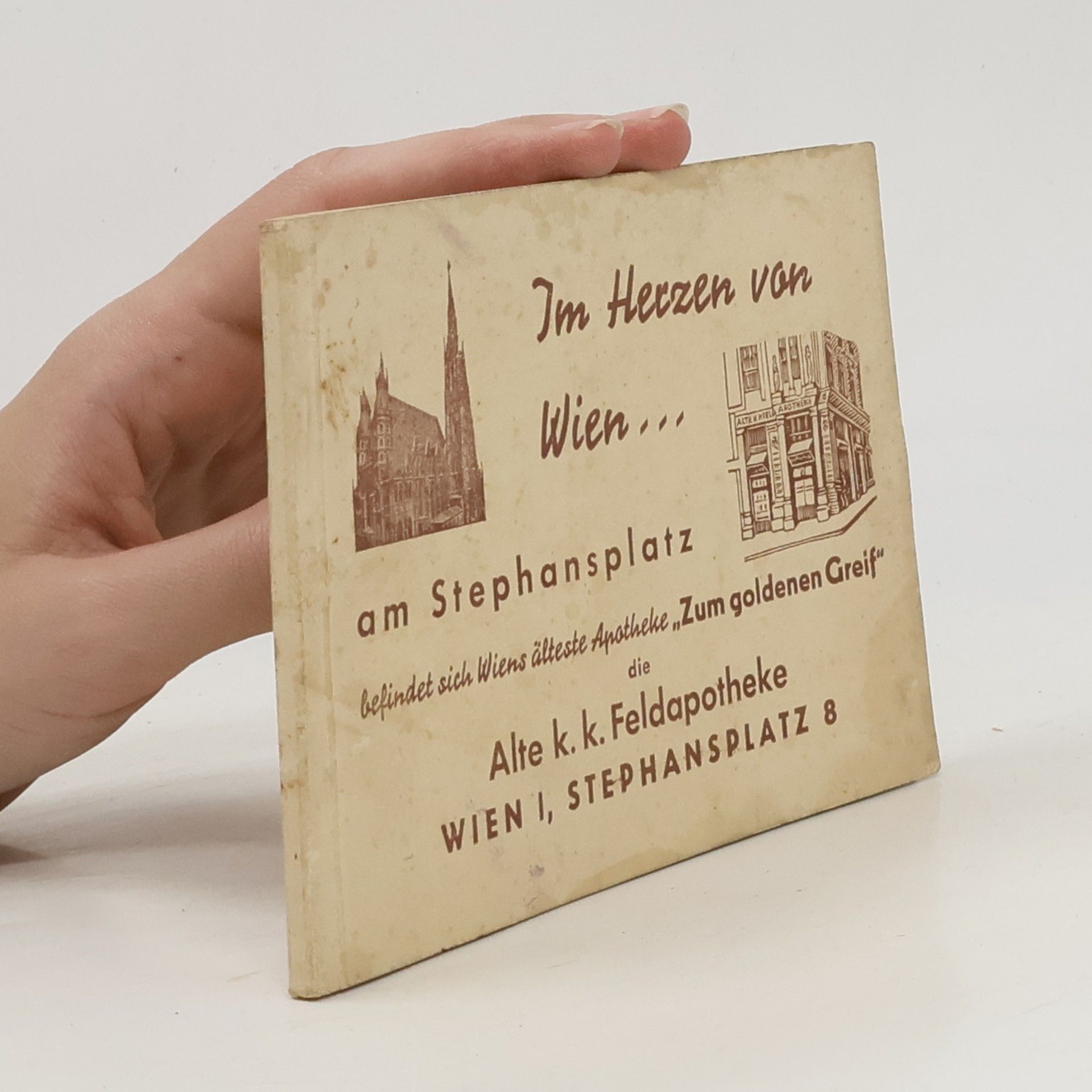 Collectif d'auteurs Im Herzen von Wien... am Stephansplatz