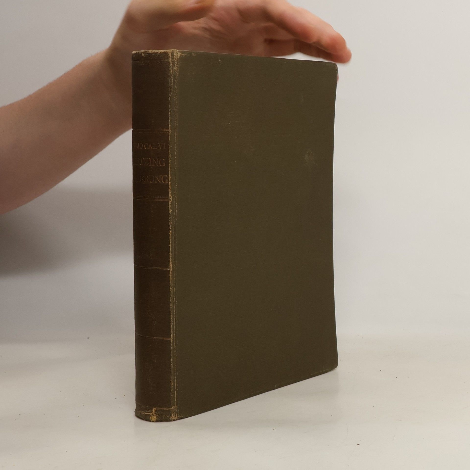 Primo Calvi Darstellung des politischen bezirkes Hietzing umgebung, durch umfassende beschreibung aller dörfer, ortschaften, Kirchen, schulen, schlösser, anstalten und bemerkenswerten objecte, etc. etc