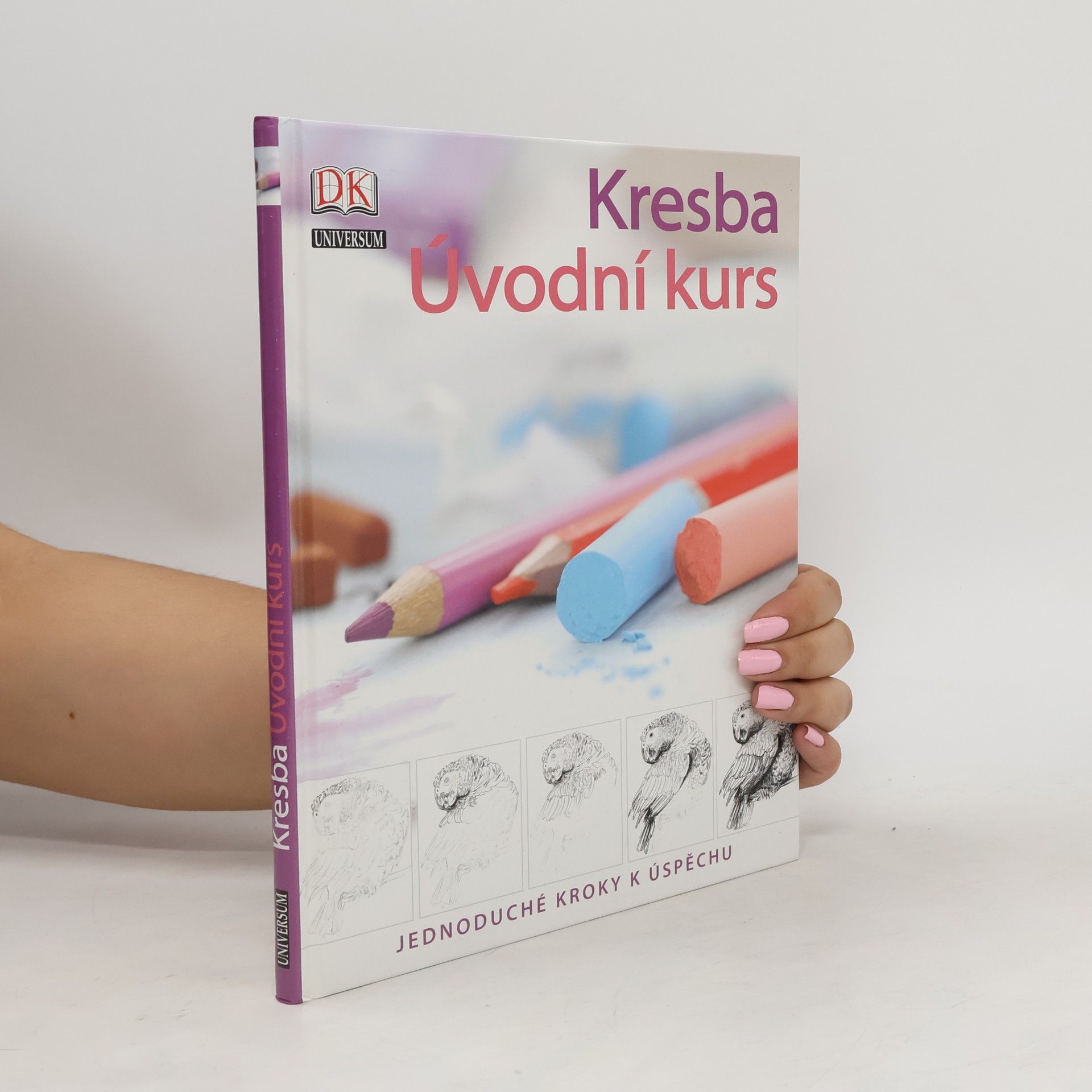 Kresba. Úvodní kurs