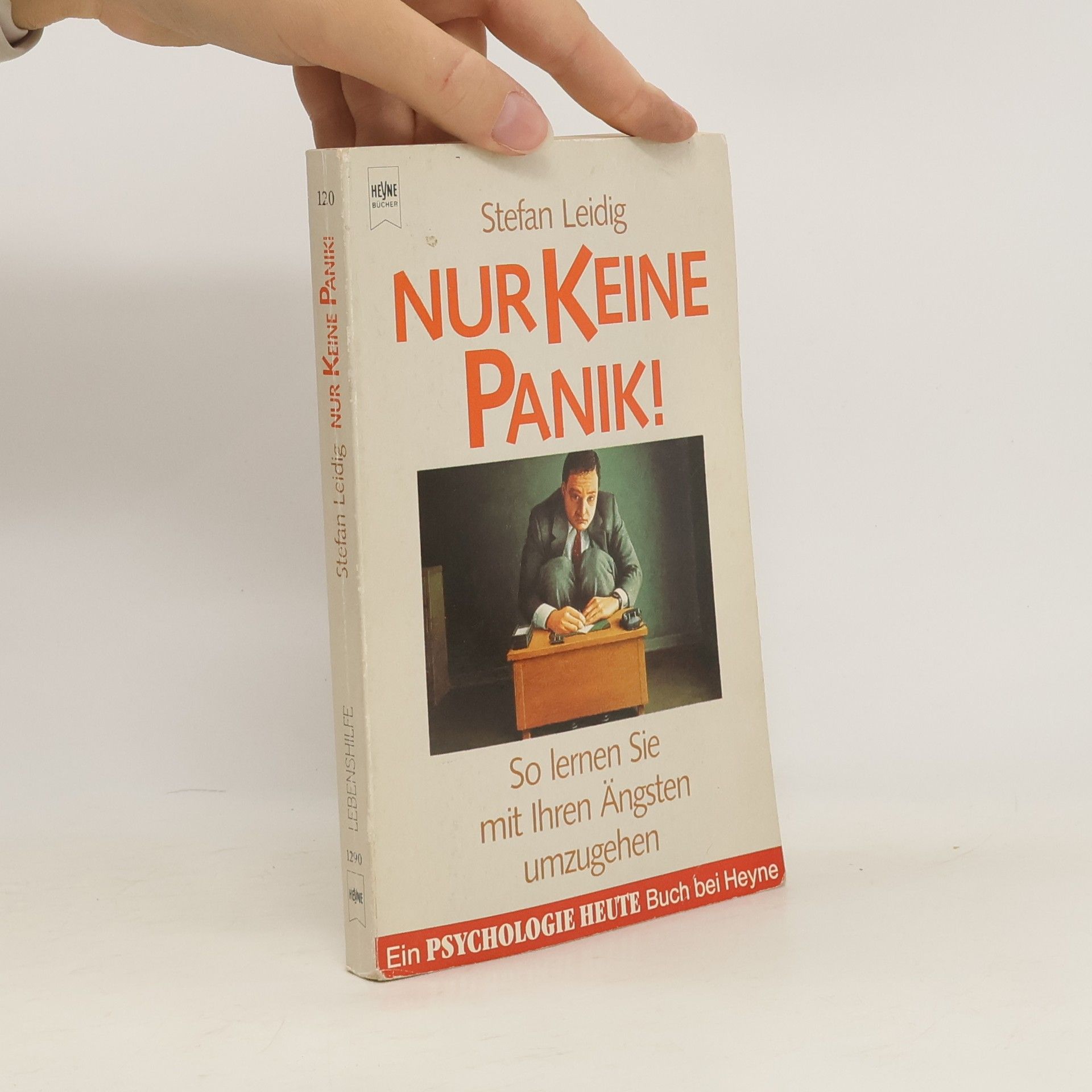 Stefan Leidig Nur keine Panik!