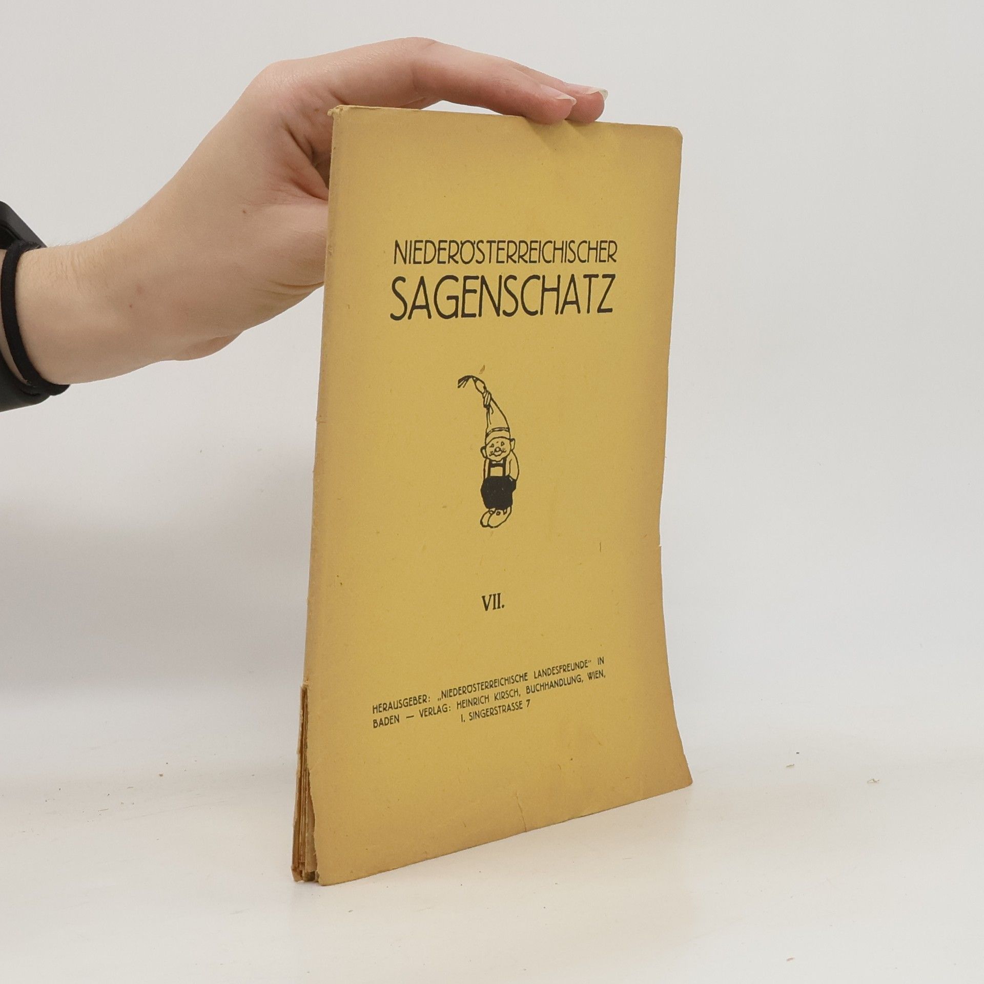 Autorenkollektiv Niederösterreichischer Sagenschatz VII