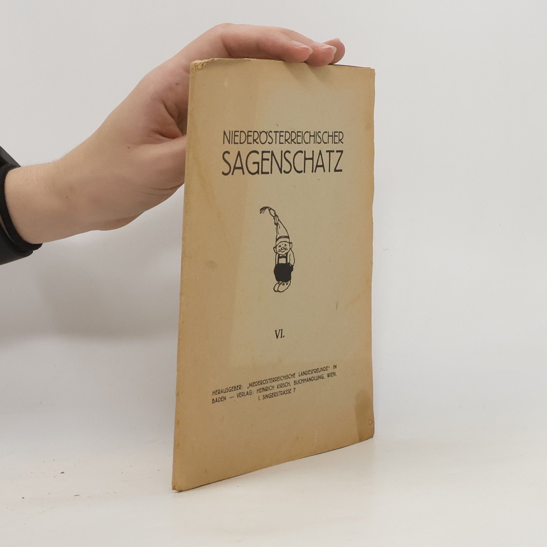 Autores varios Niederösterreichischer Sagenschatz VI.