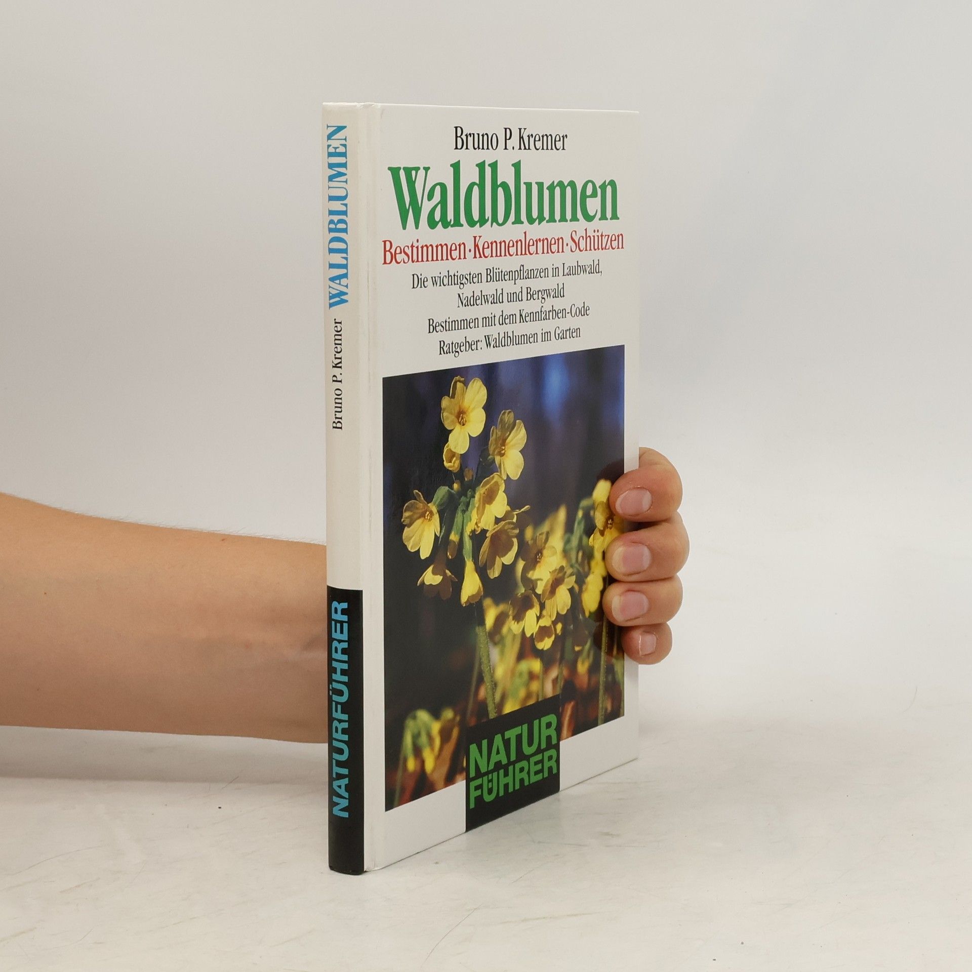 Bruno Kremer Waldblumen