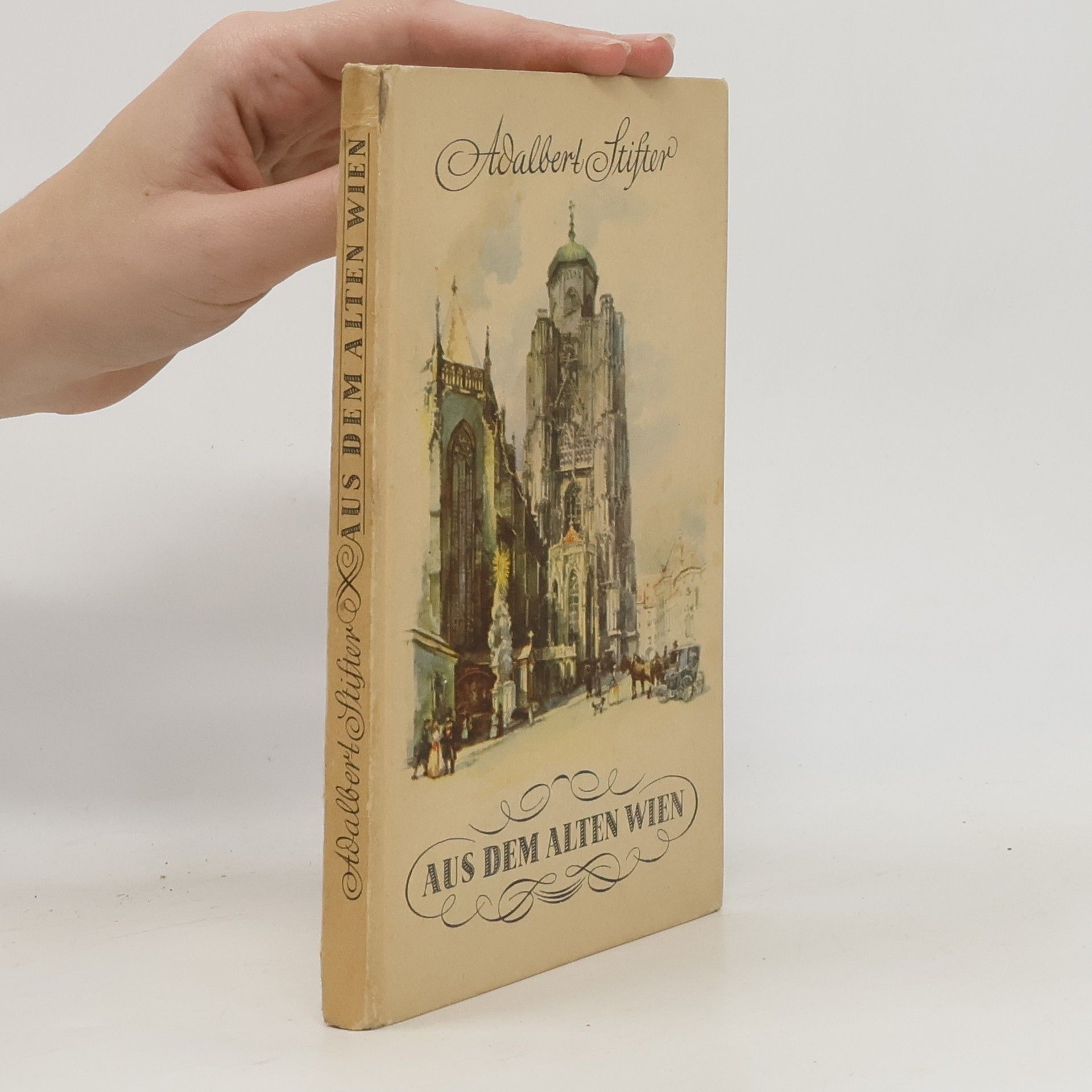 Adalbert Stifter Aus dem alten Wien
