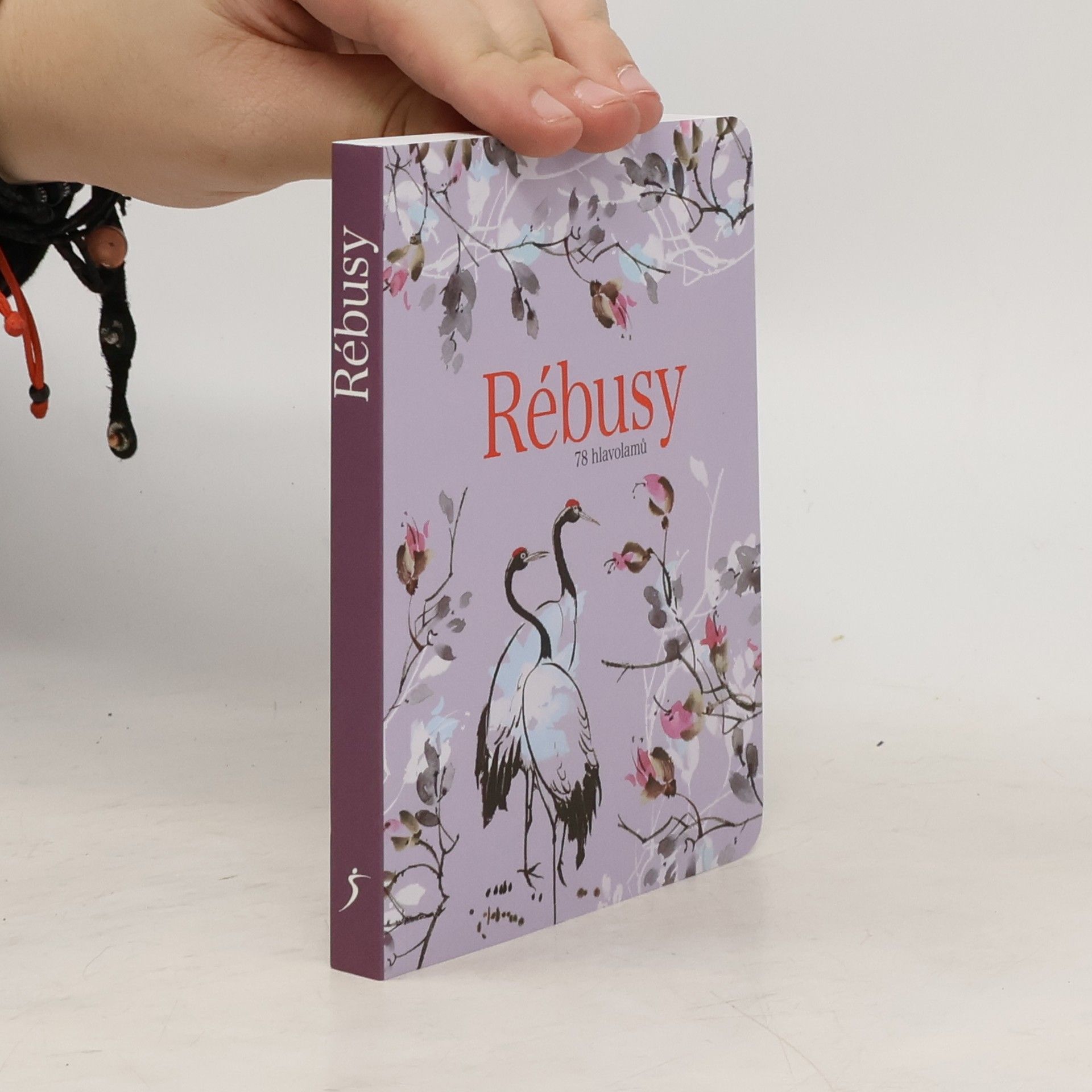 Dita Murinová Rébusy : 78 hlavolamů do kapsy