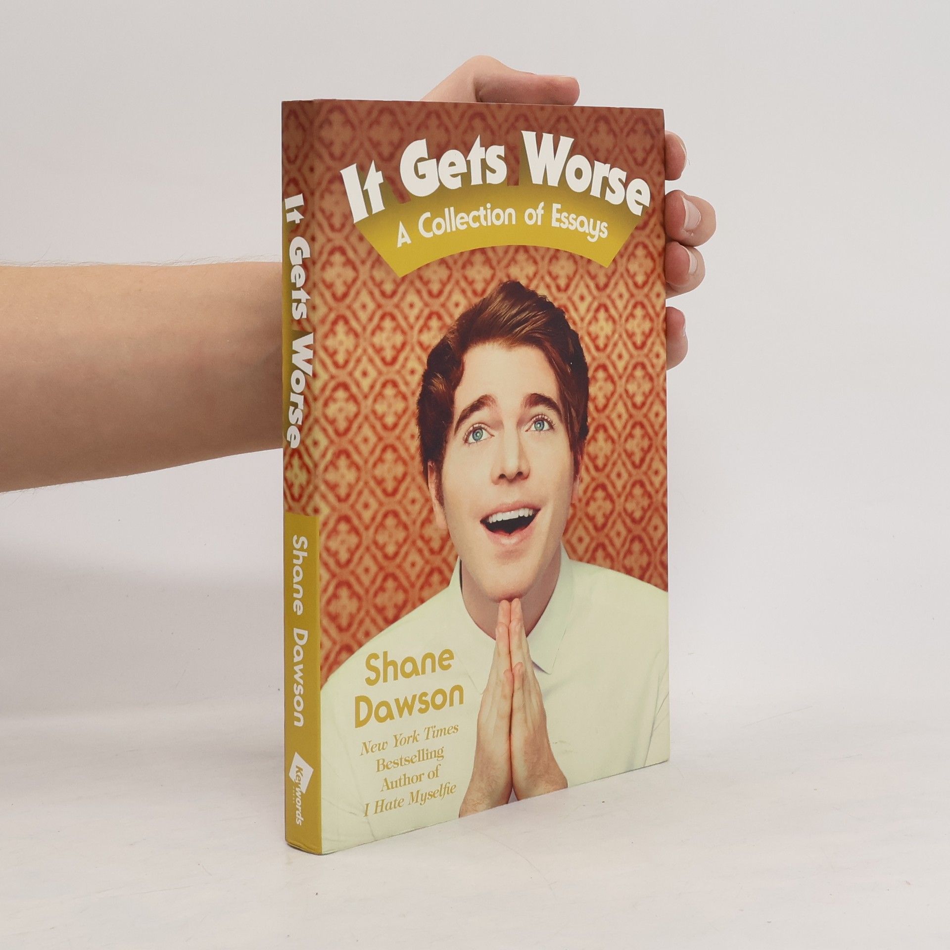 Shane Dawson It gets worse : a collection of essays