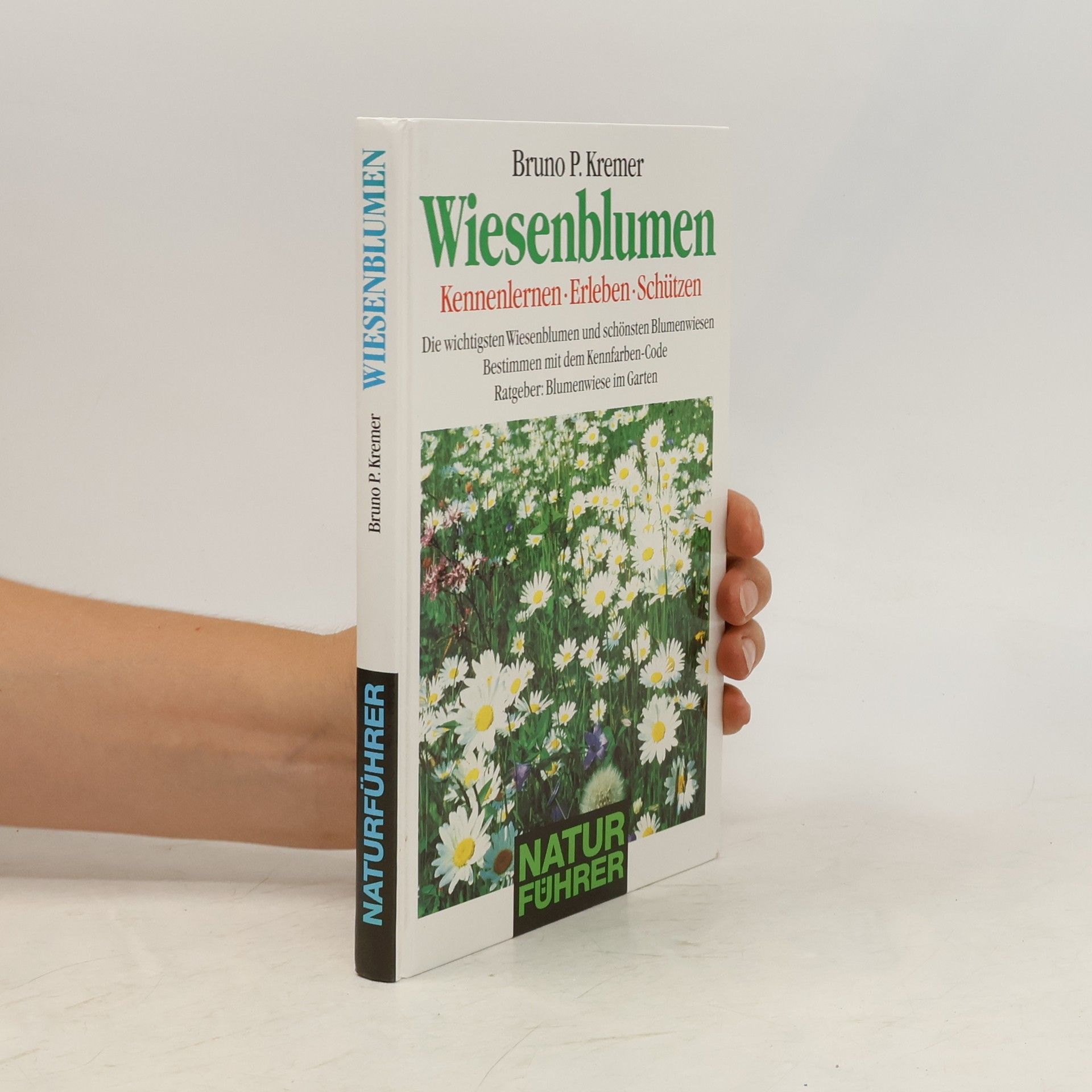 Bruno Kremer Wiesenblumen