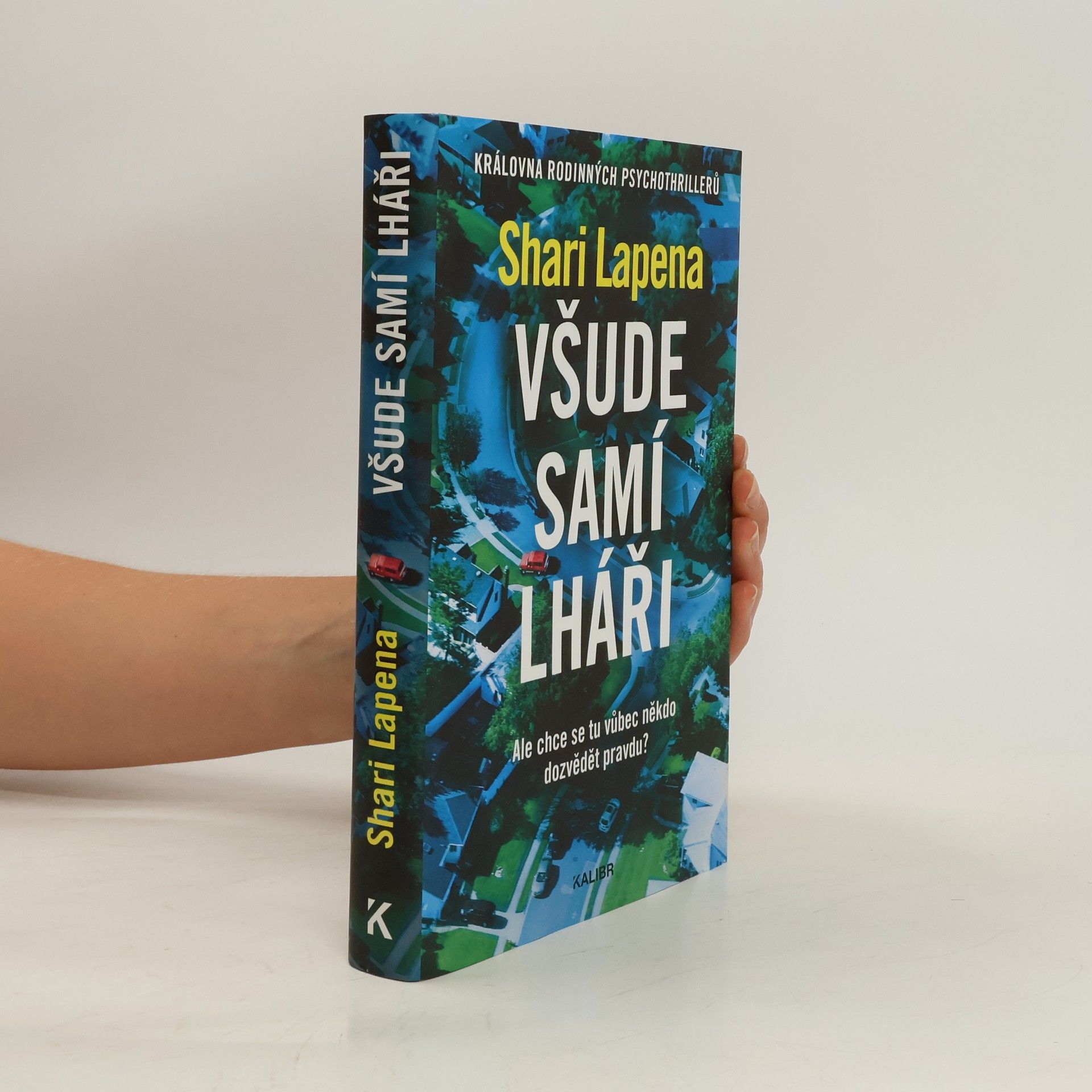 Shari Lapena Všude samí lháři
