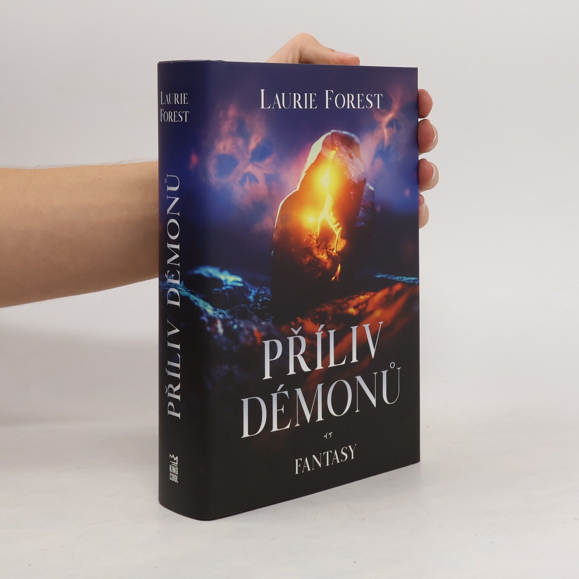 Laurie Forest Příliv démonů