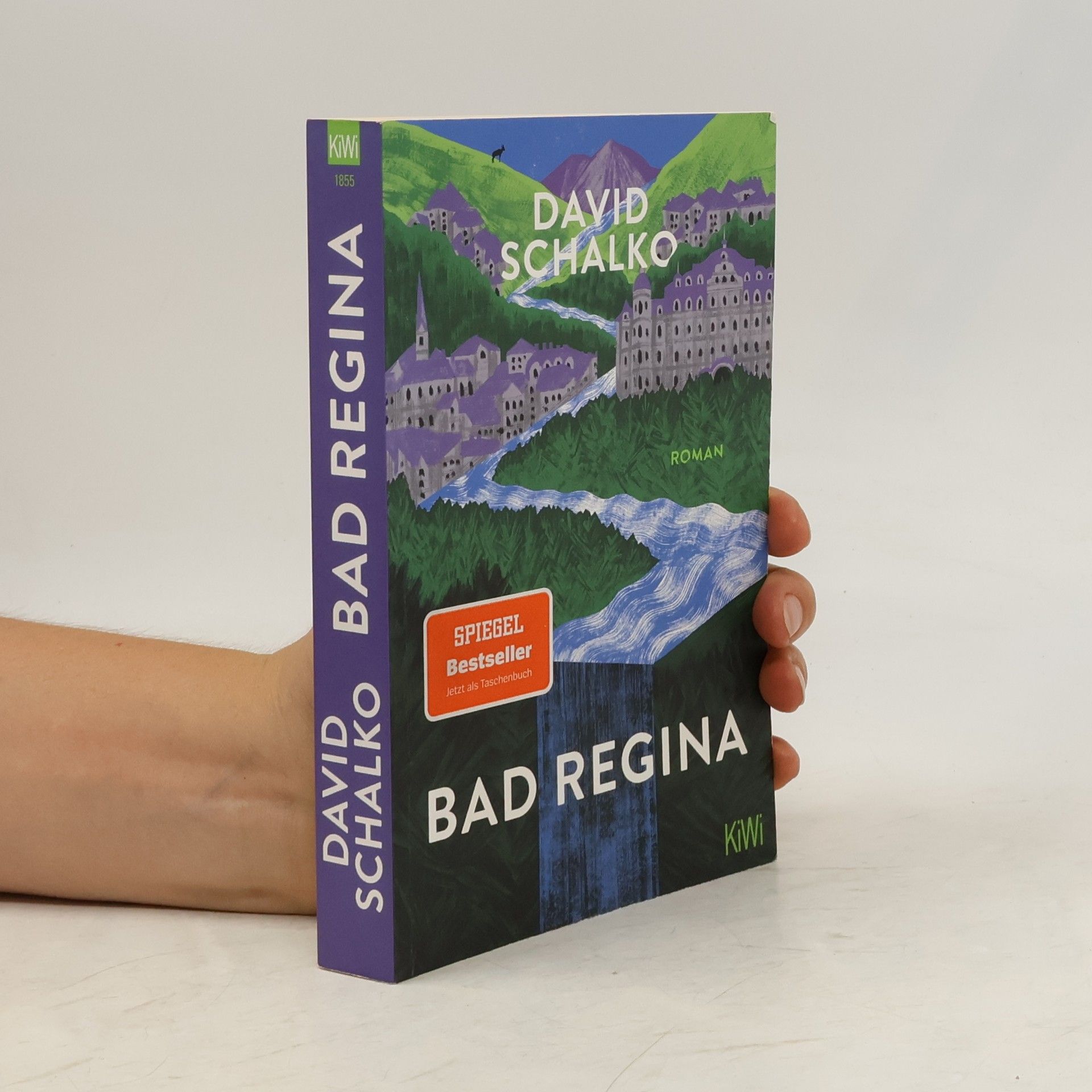 David Schalko Bad Regina