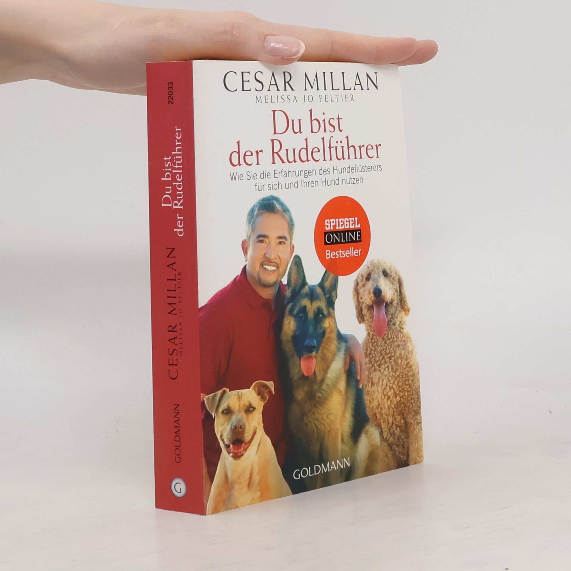 Cesar Millan Du bist der Rudelführer