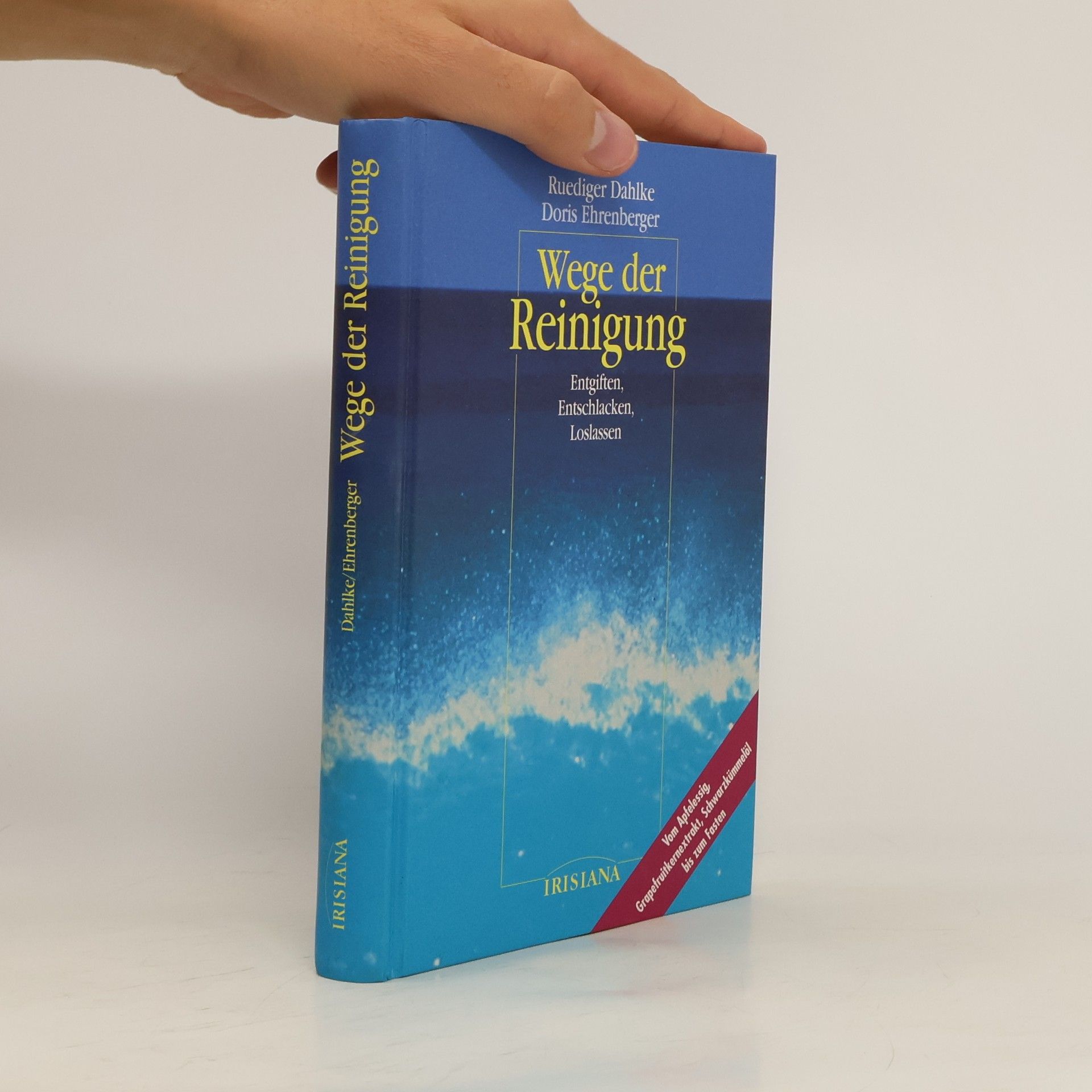 Ruediger Dahlke Wege der Reinigung