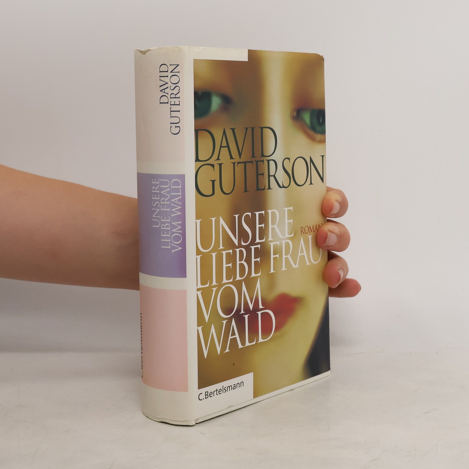 David Guterson Unsere Liebe Frau vom Wald