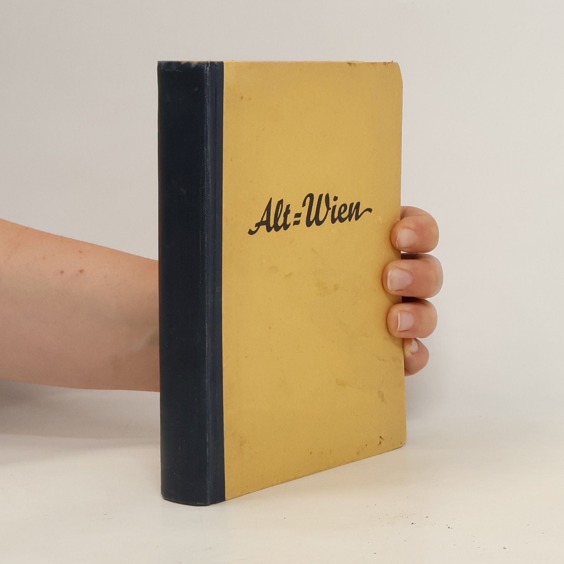 Edgar Wenrich Alt-Wien 4