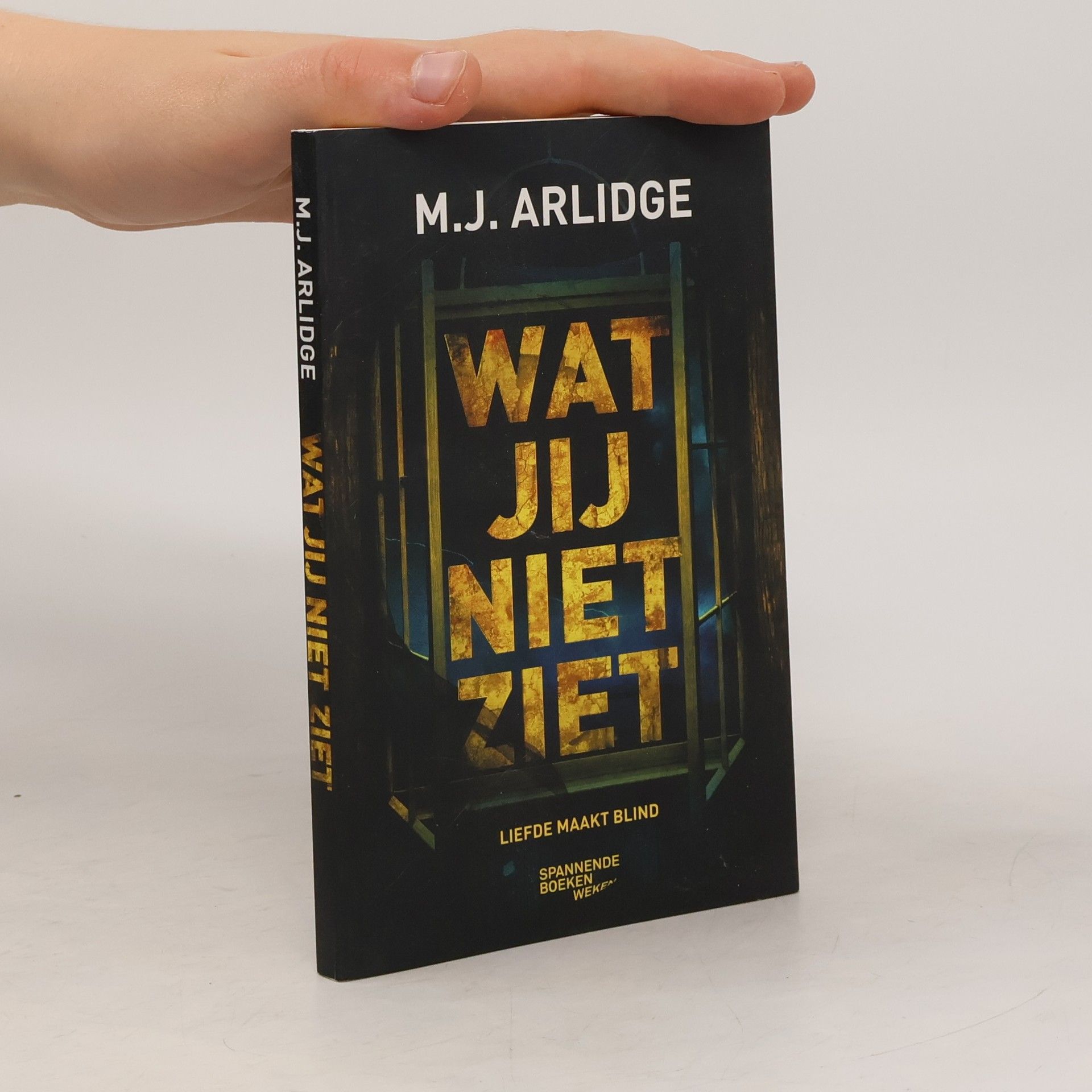 M. J. Arlidge Wat jij niet ziet
