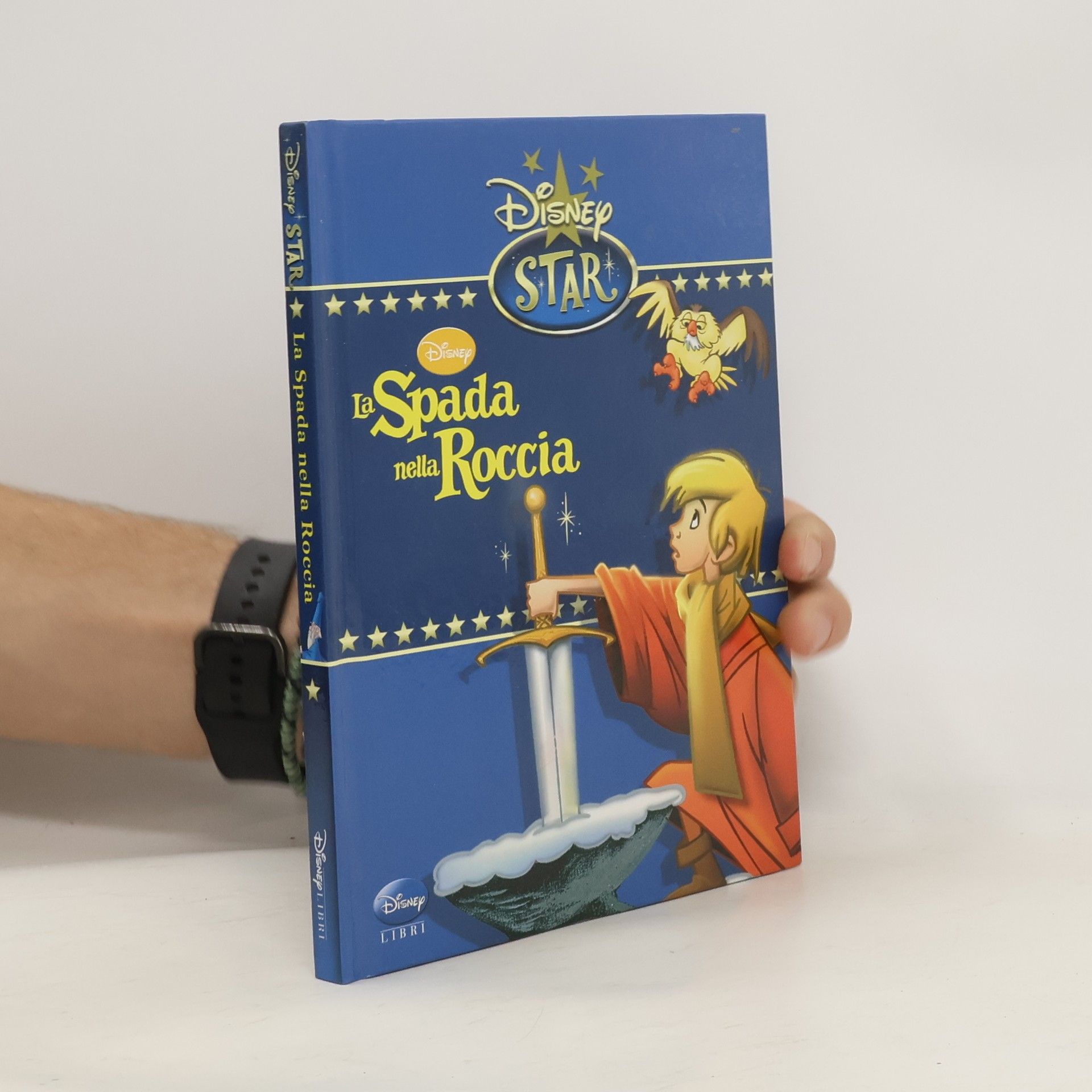 AA.VV. La spada nella roccia