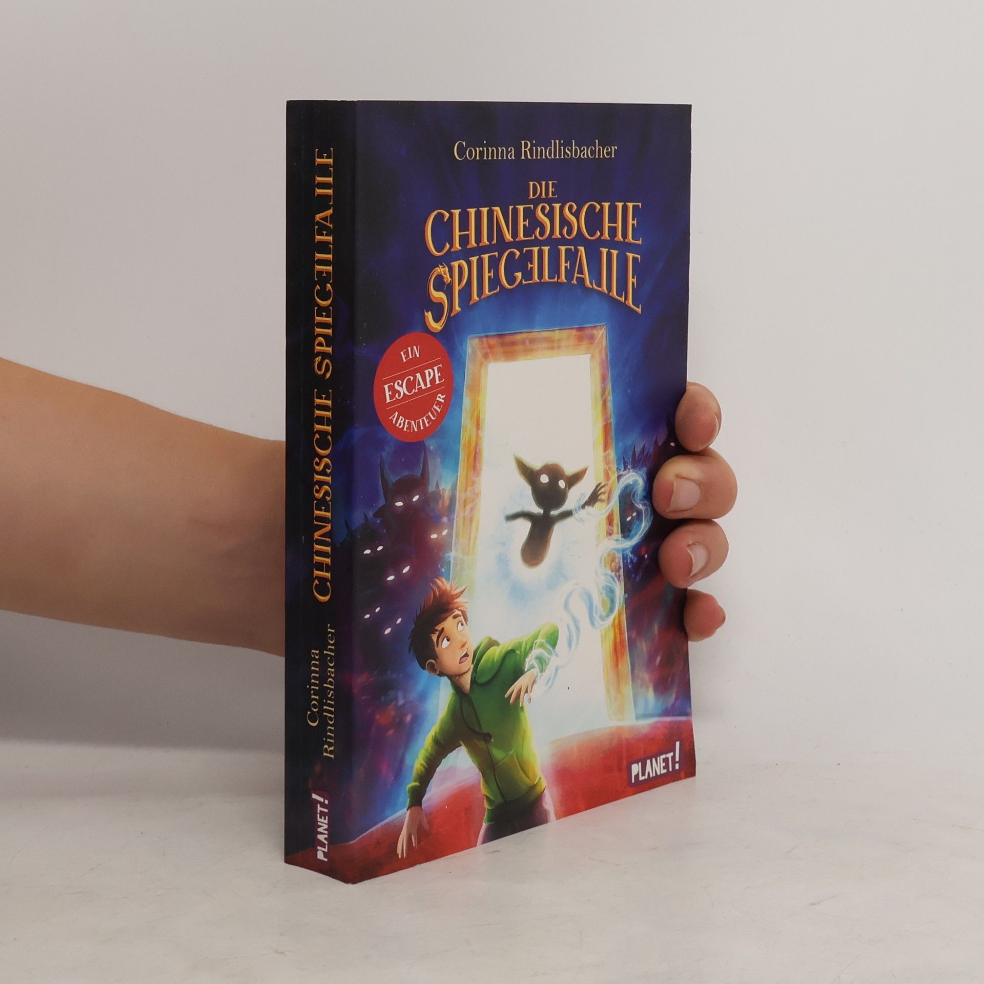 Corinna Rindlisbacher Die chinesische Spiegelfalle