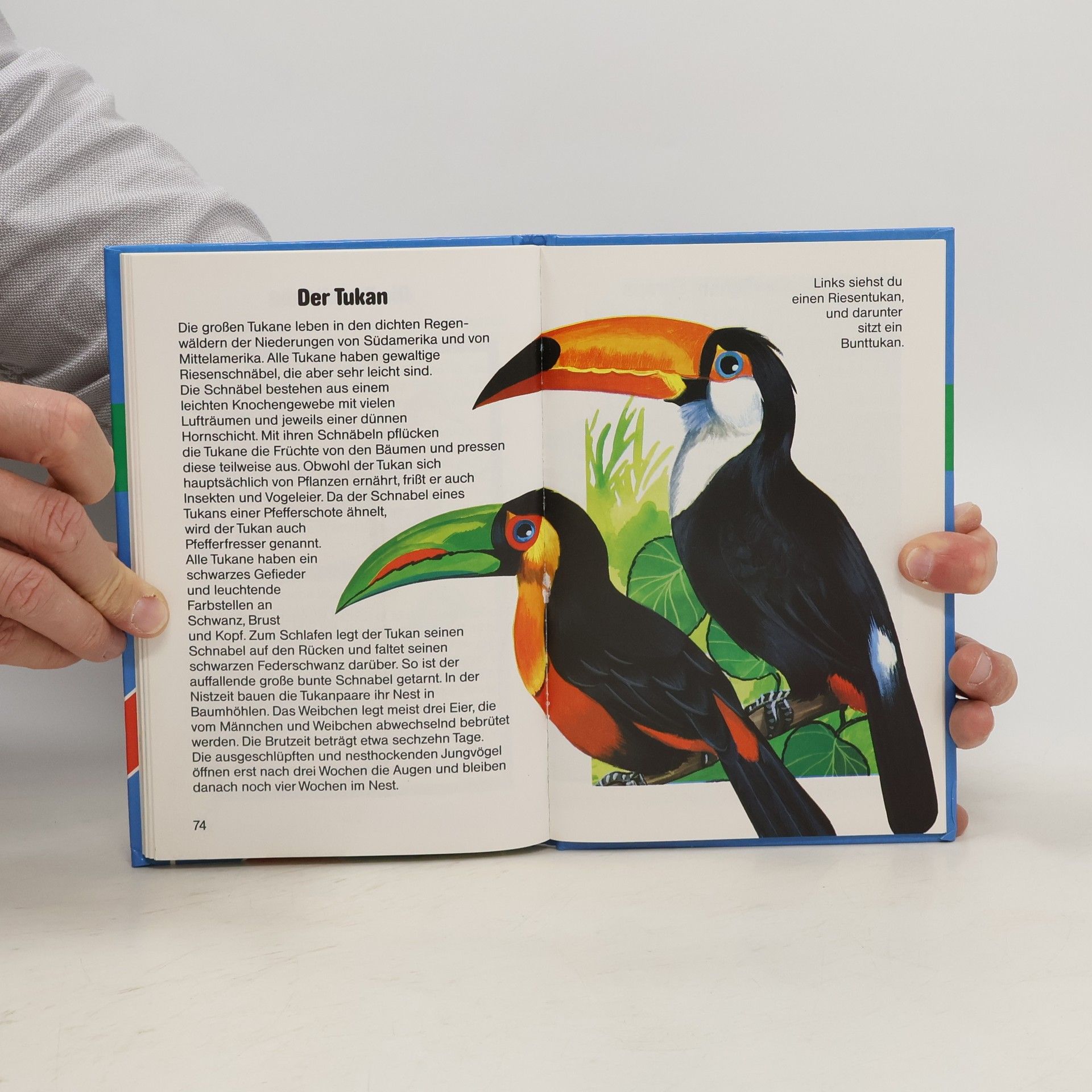 Autorenkollektiv Rolf Kaukas Bussi-Bär-Kinderbibliothek