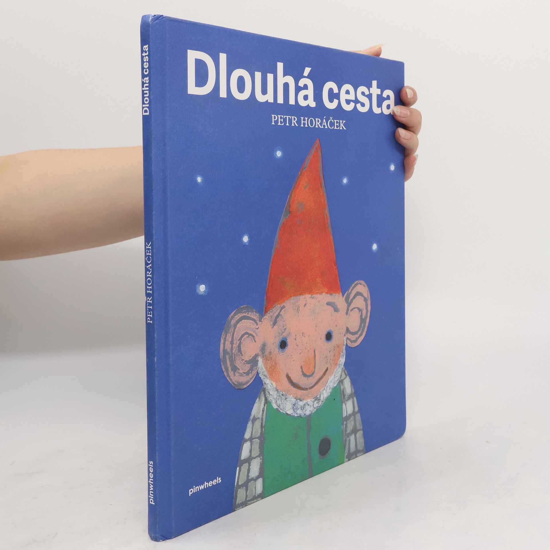 Horacek Petr Dlouhá cesta