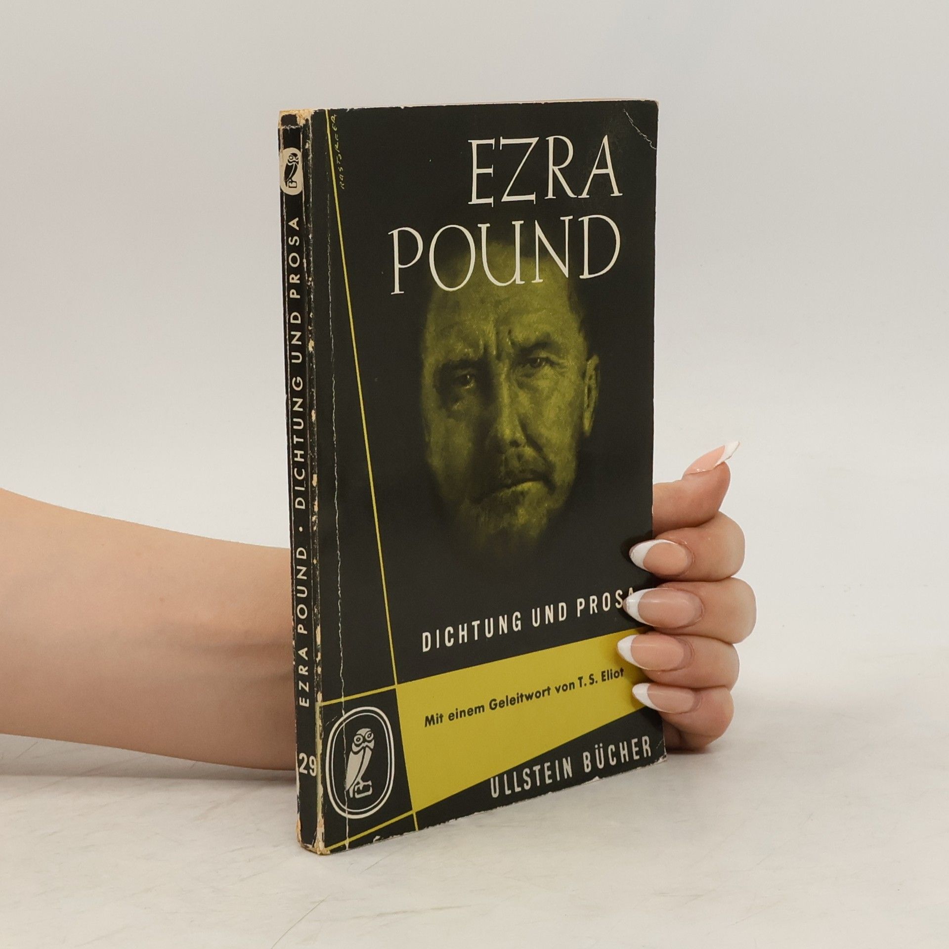 Ezra Pound Dichtung und Prosa