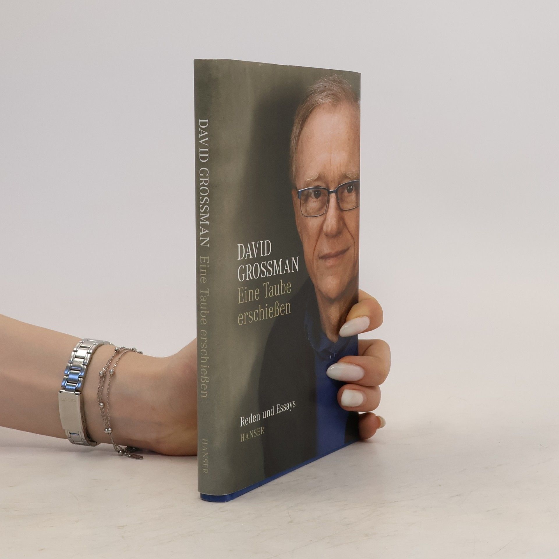 David Grossman Eine Taube erschießen